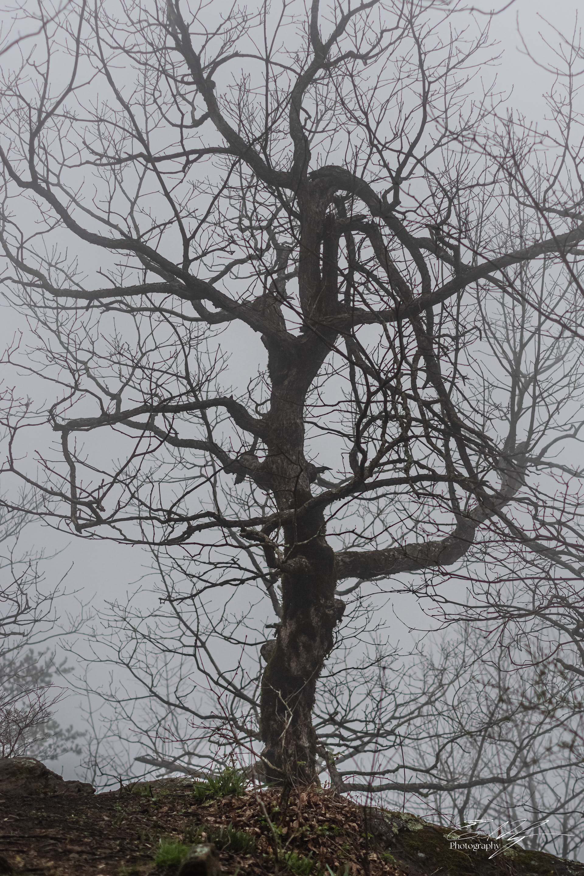 Preacher's Rock   II