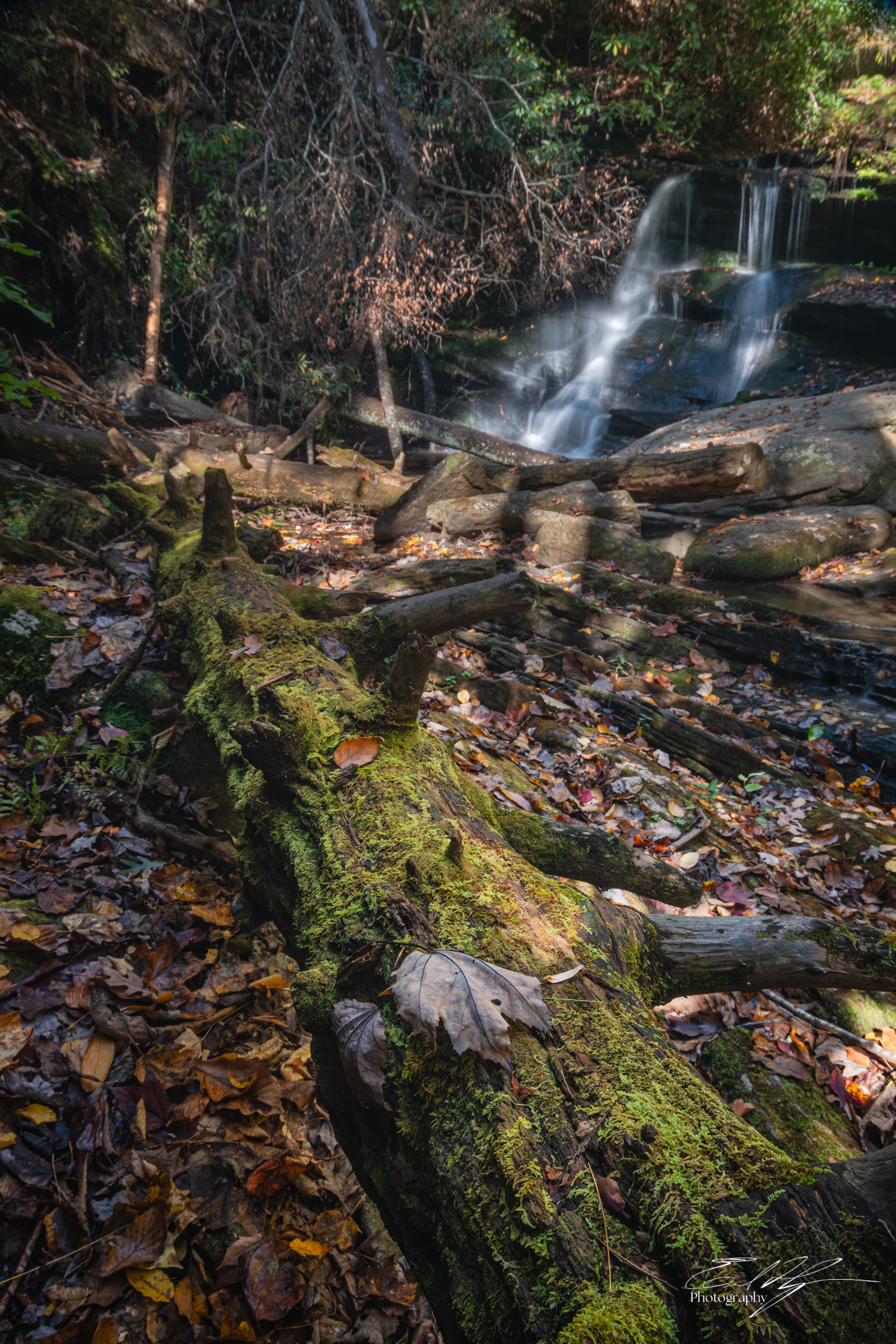 Day 2  Martin Creek Falls II