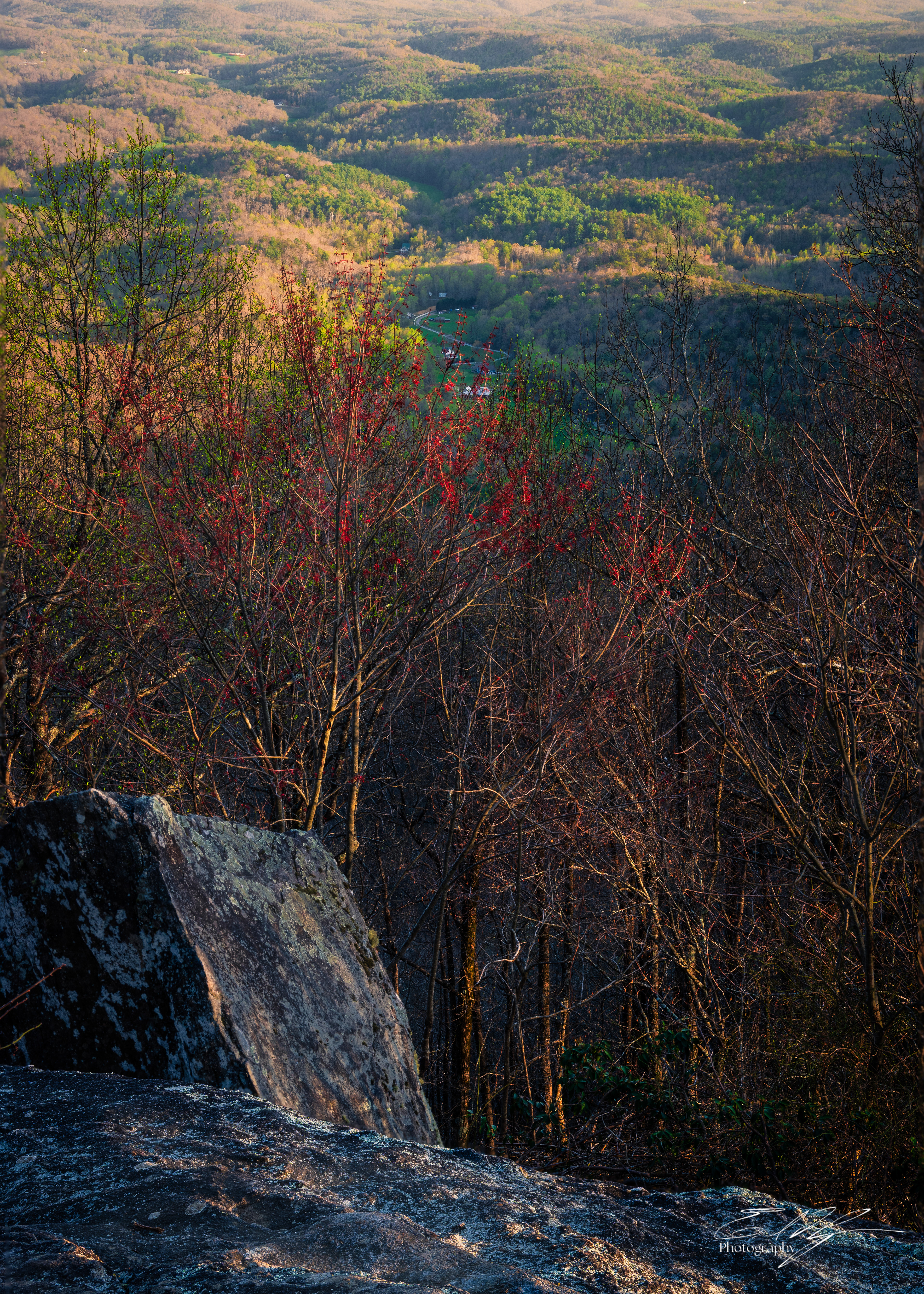Appalachian Trail 2025   VII