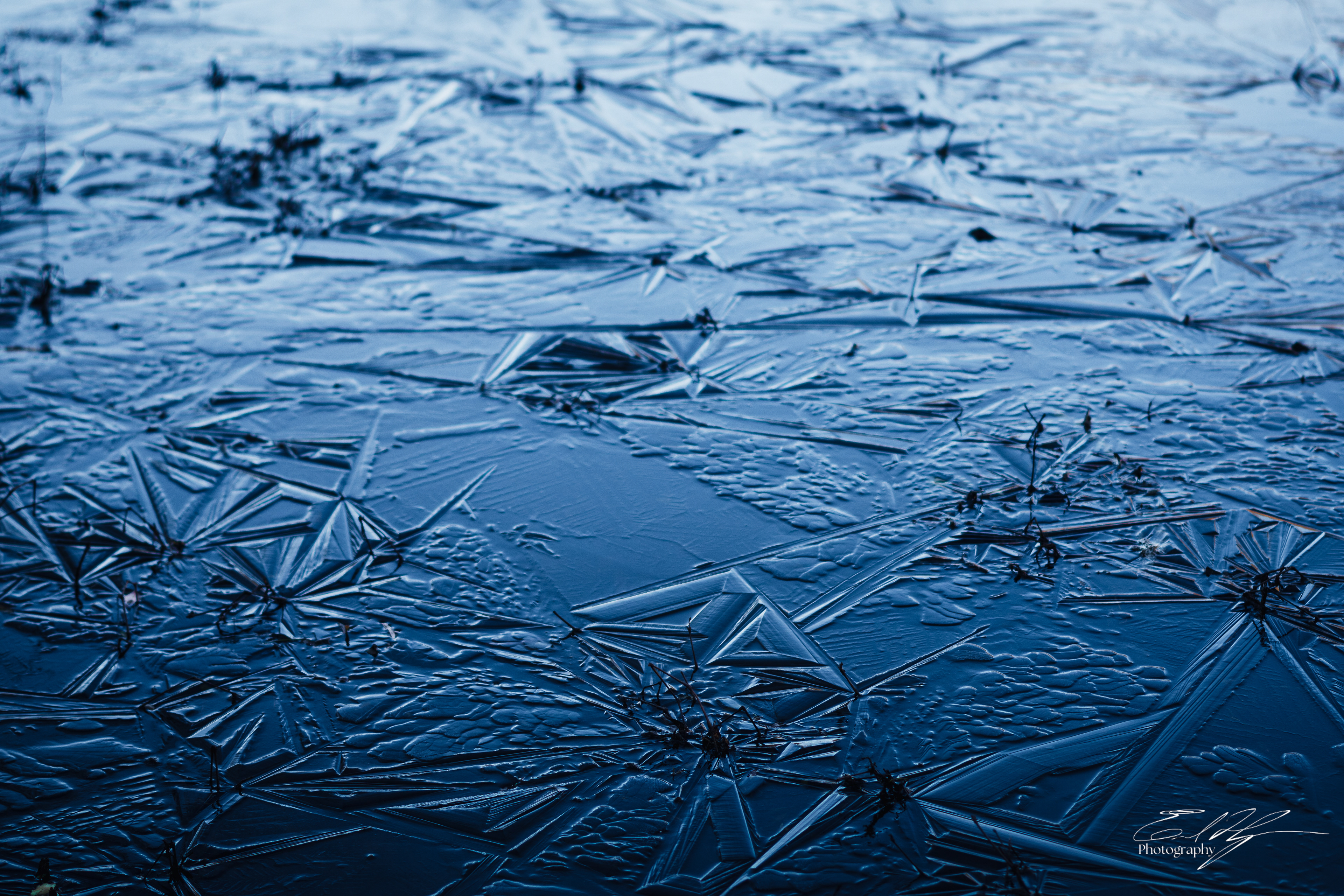 Sandy Creek Ice Portrait   VII