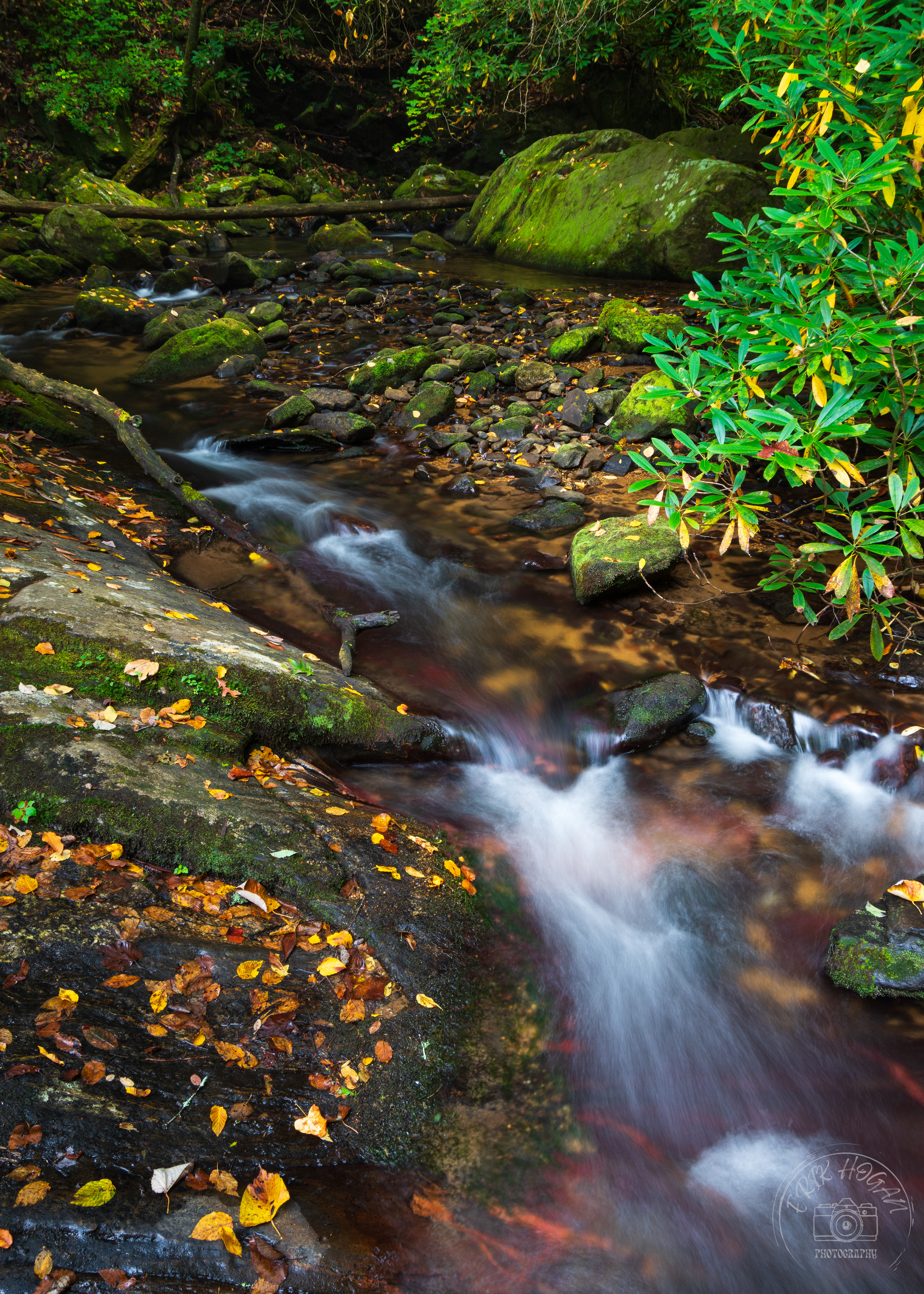 Moccasin Creek October 2023   III 