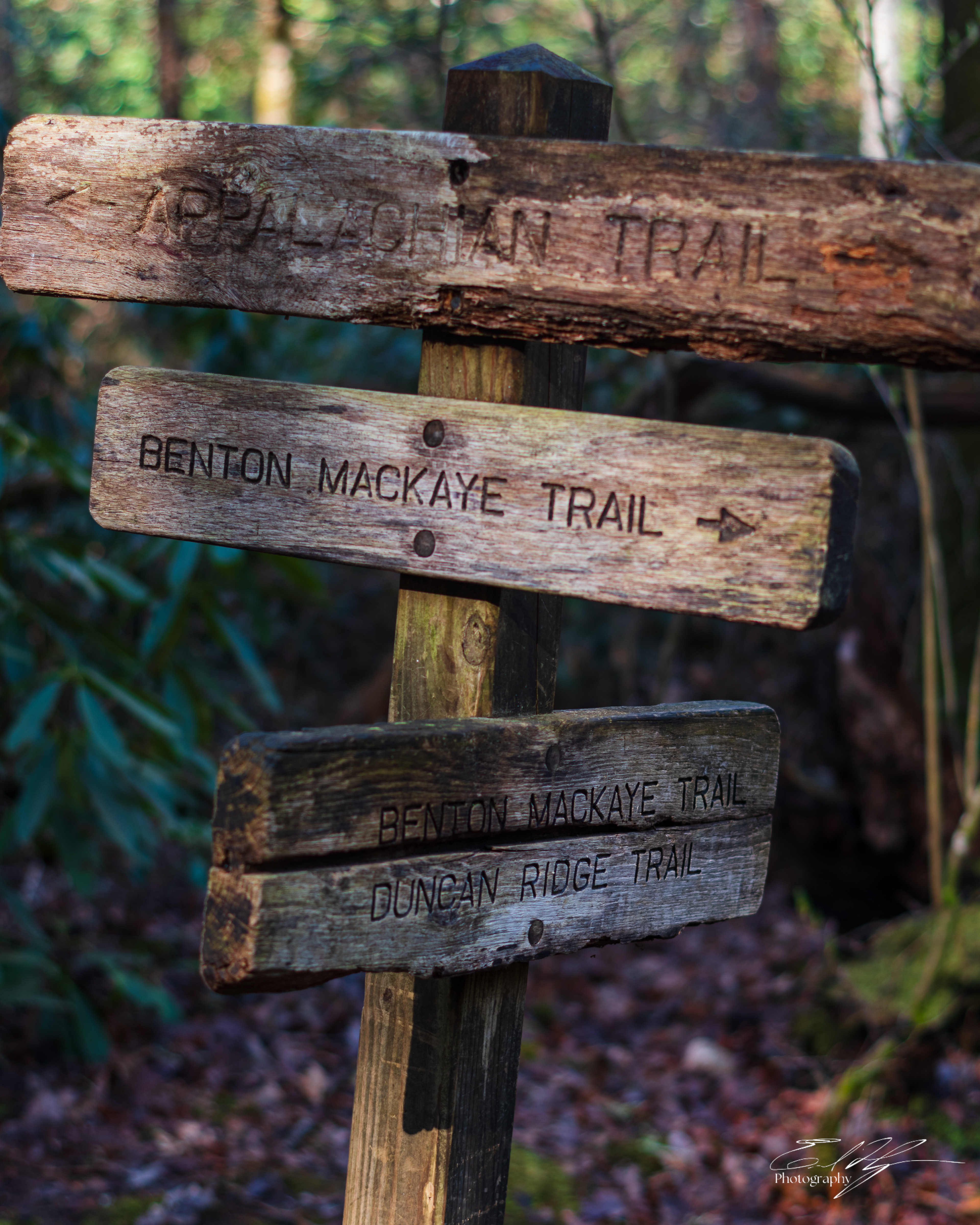 Appalachian Trail 2025   II