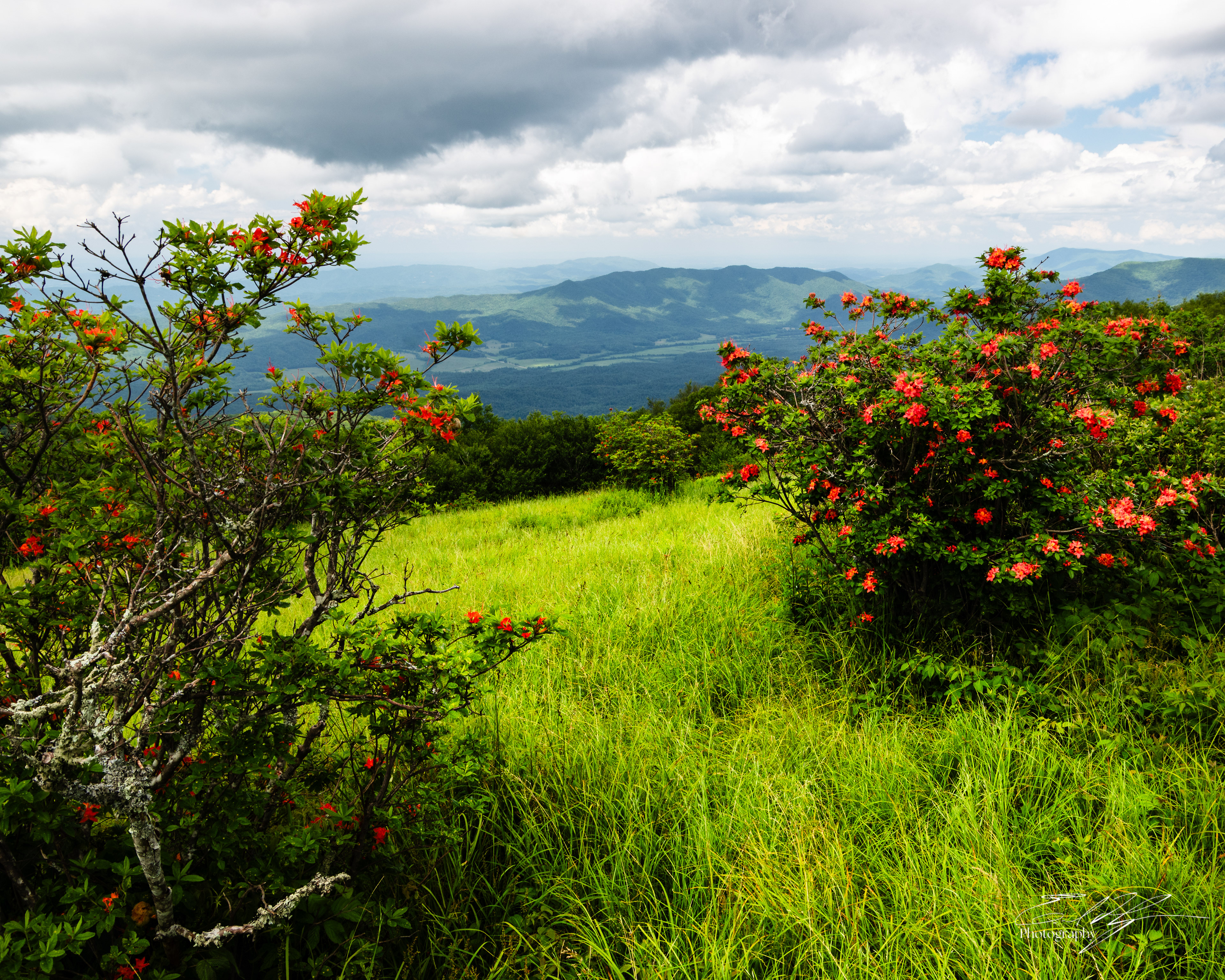 Gregory Bald June 2025 III