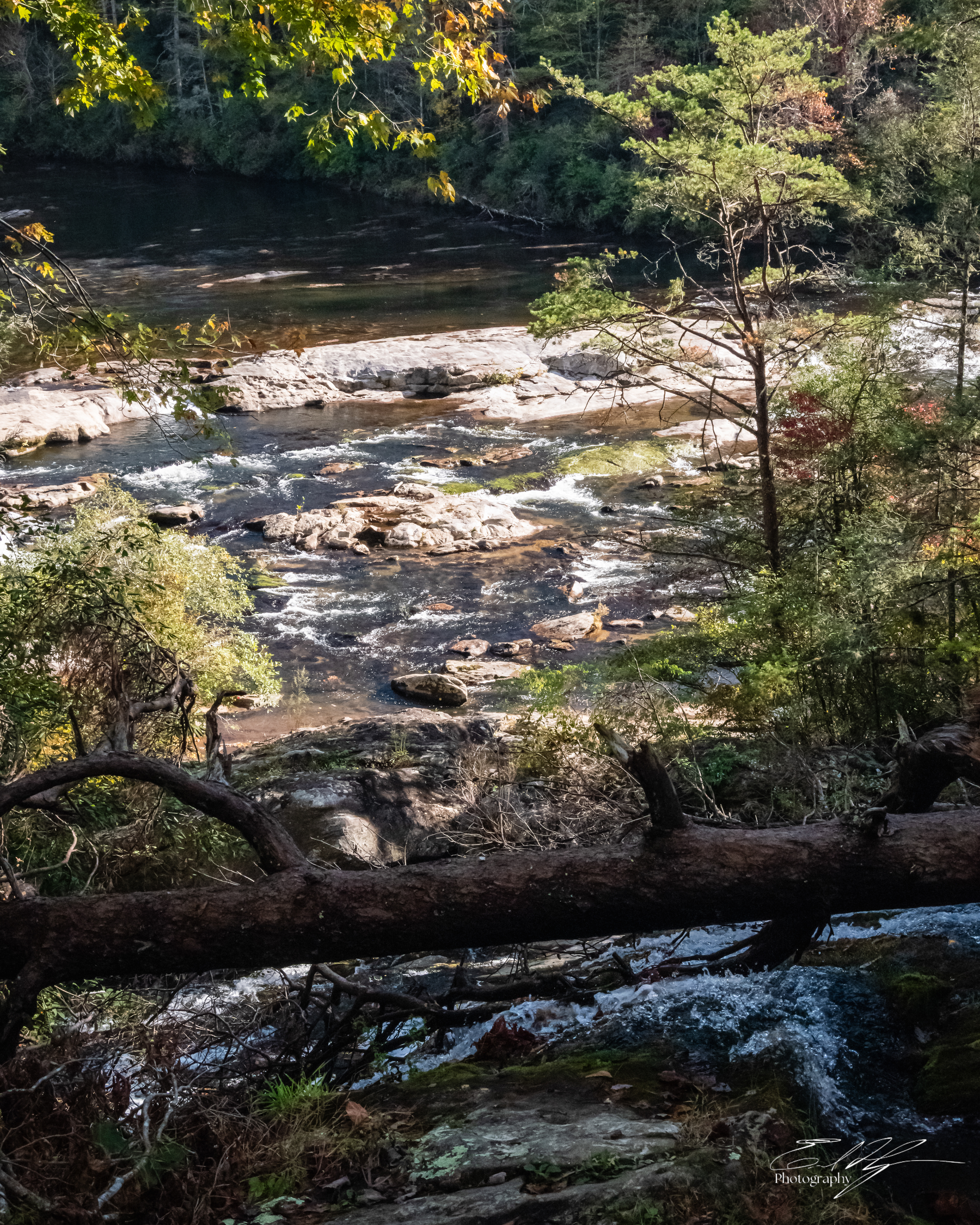 Day 1  Chattooga River III