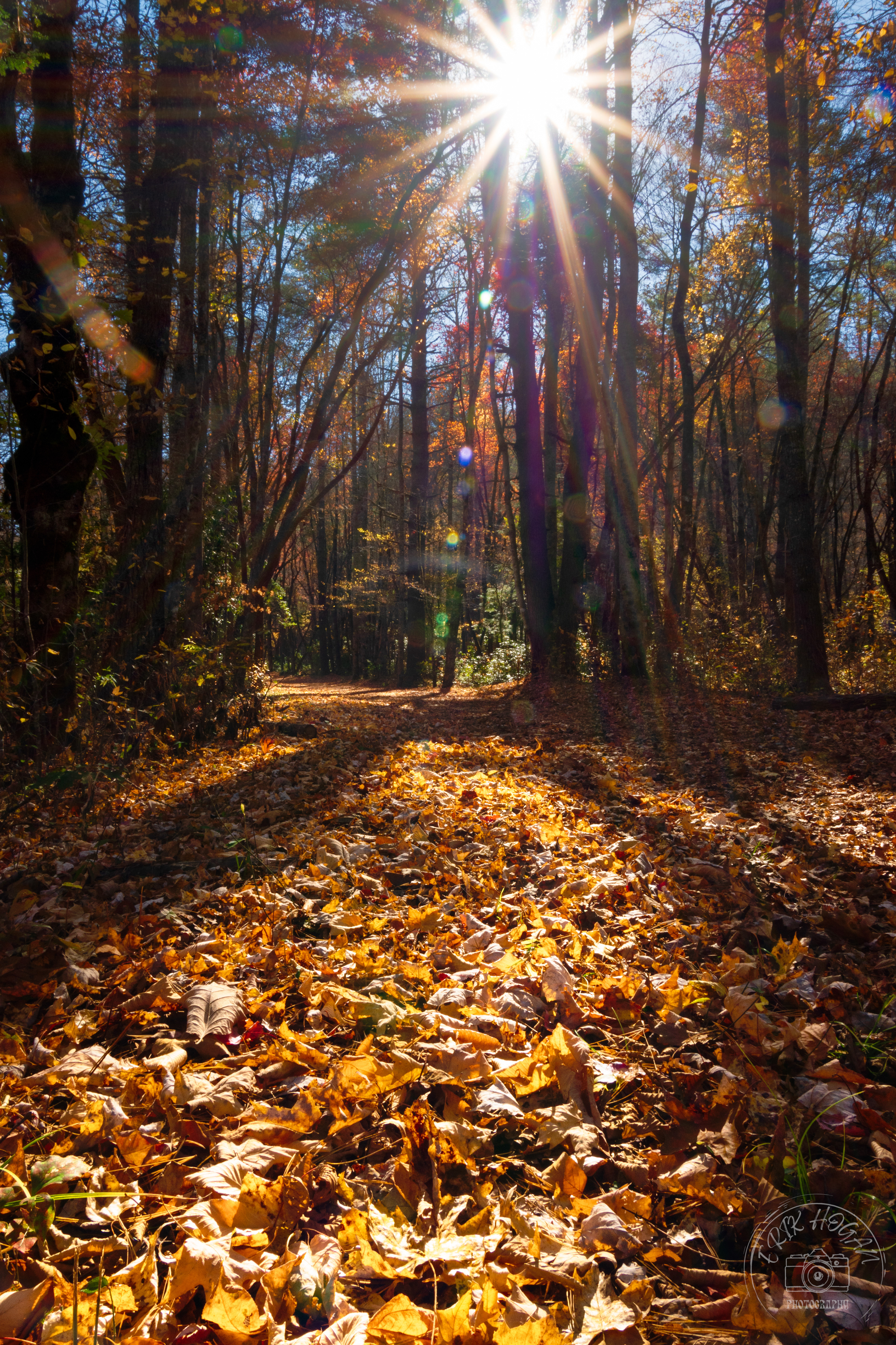 Cataloochee Valley October 2022   X