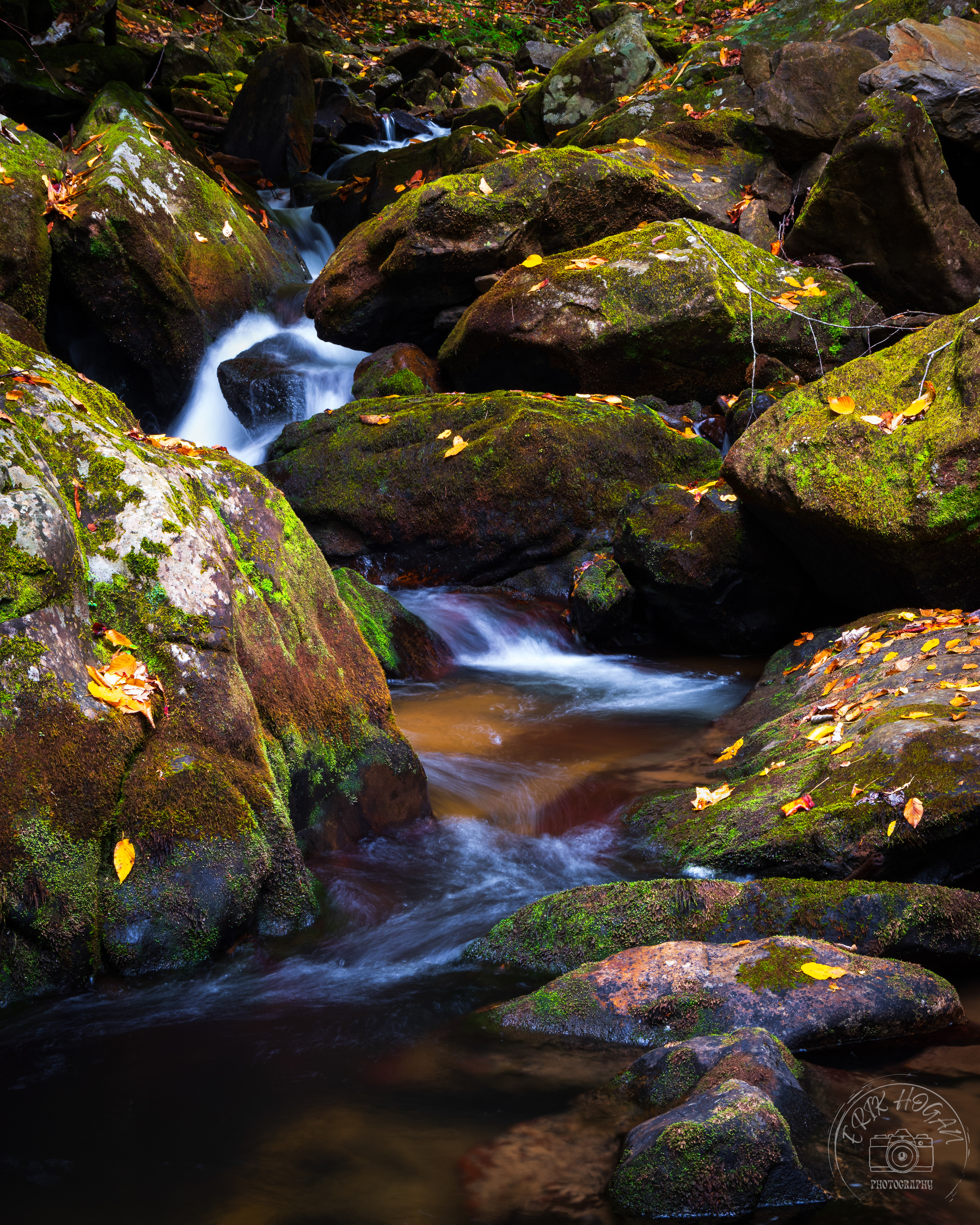 Moccasin Creek October 2023   VII 