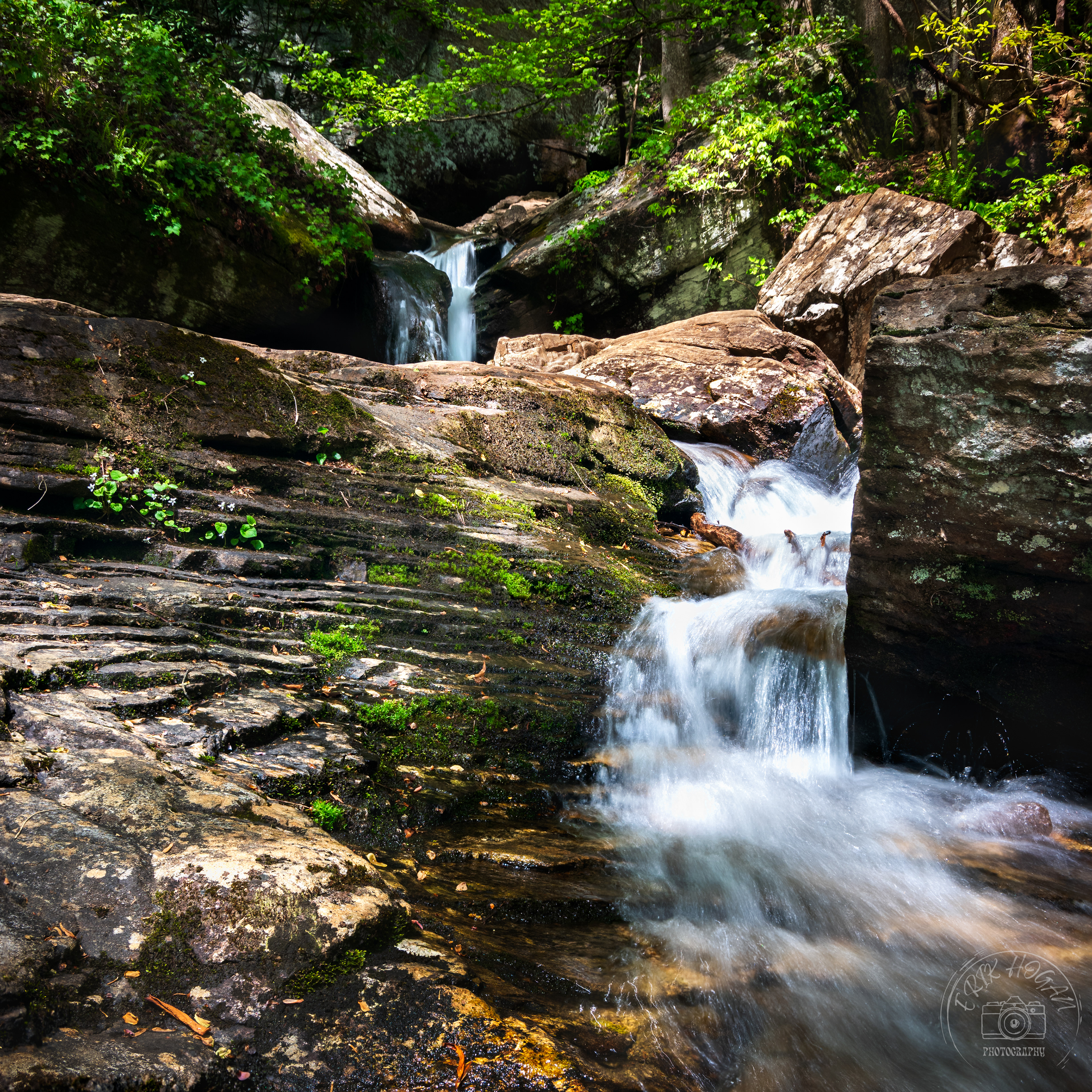 Dodd Creek Cascade April 2023   IV