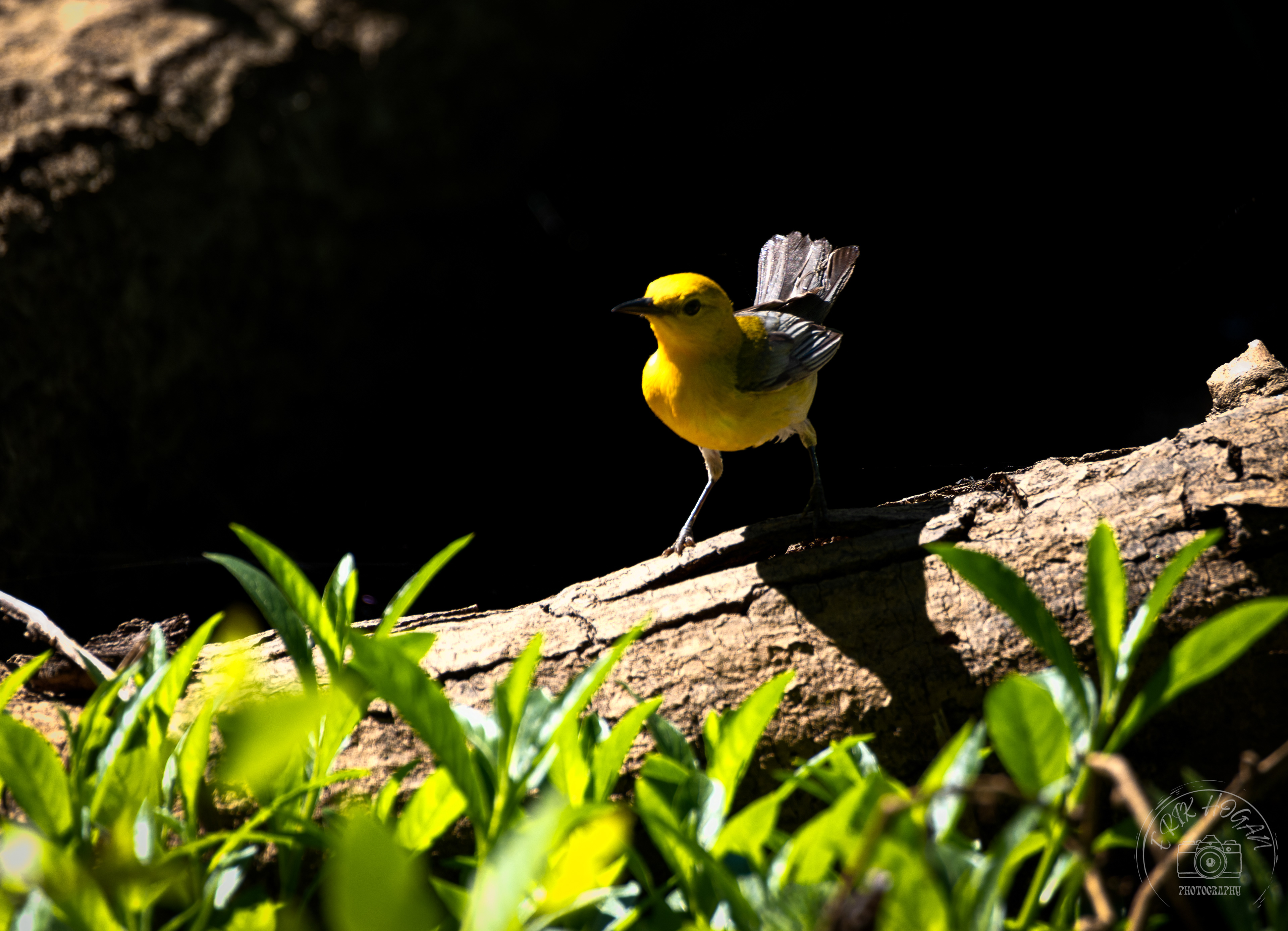 Sandy Creek Nature Center May 2022   I