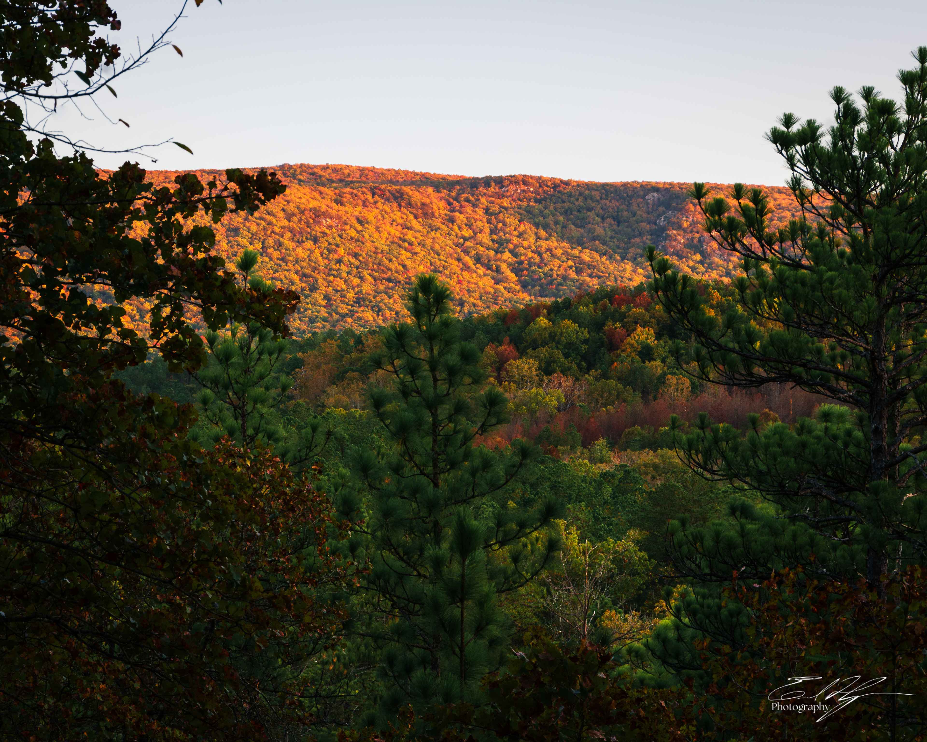 Pin-Chin-Sky Loop November 2024   XIX