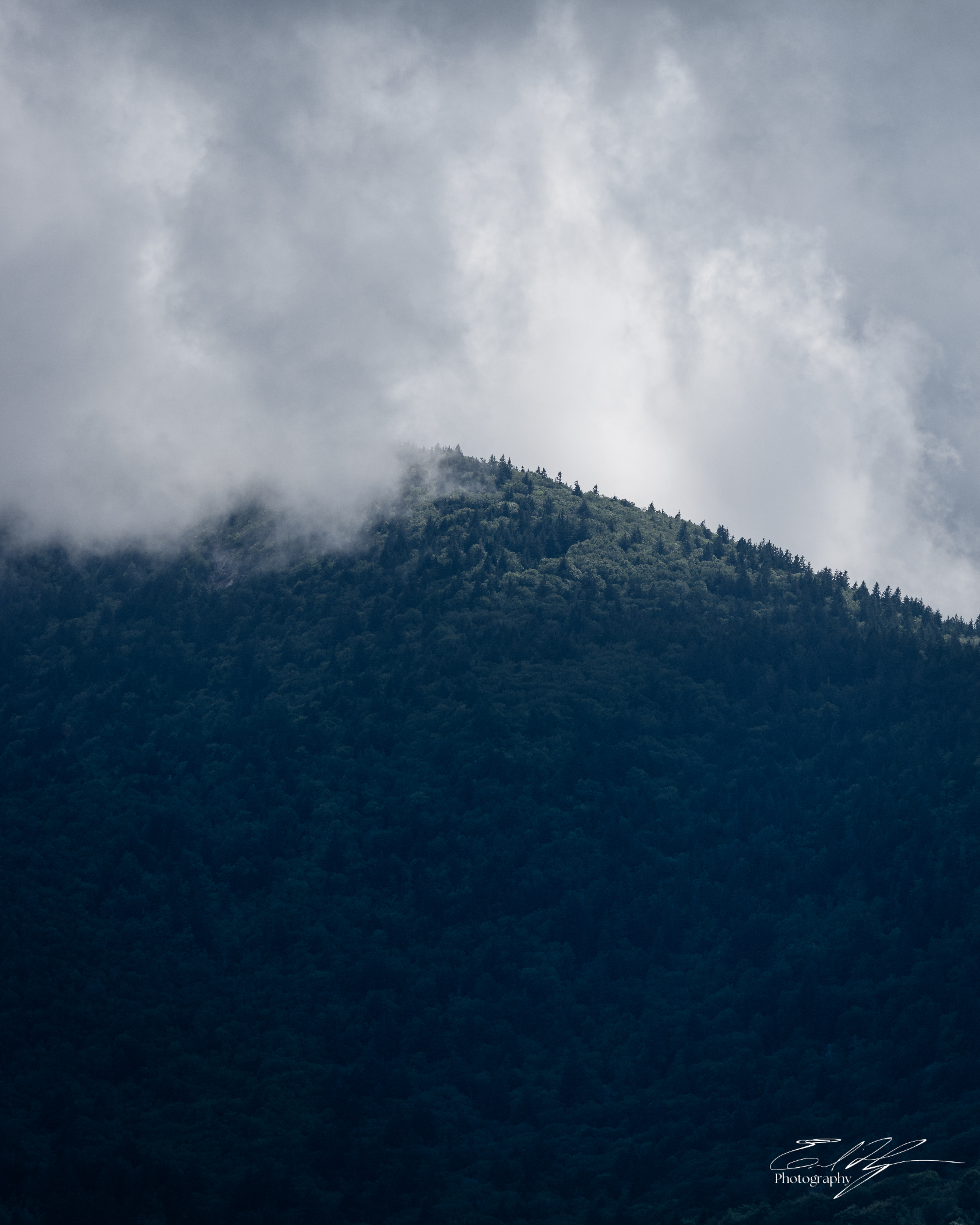 Sam Knob August 2025 I