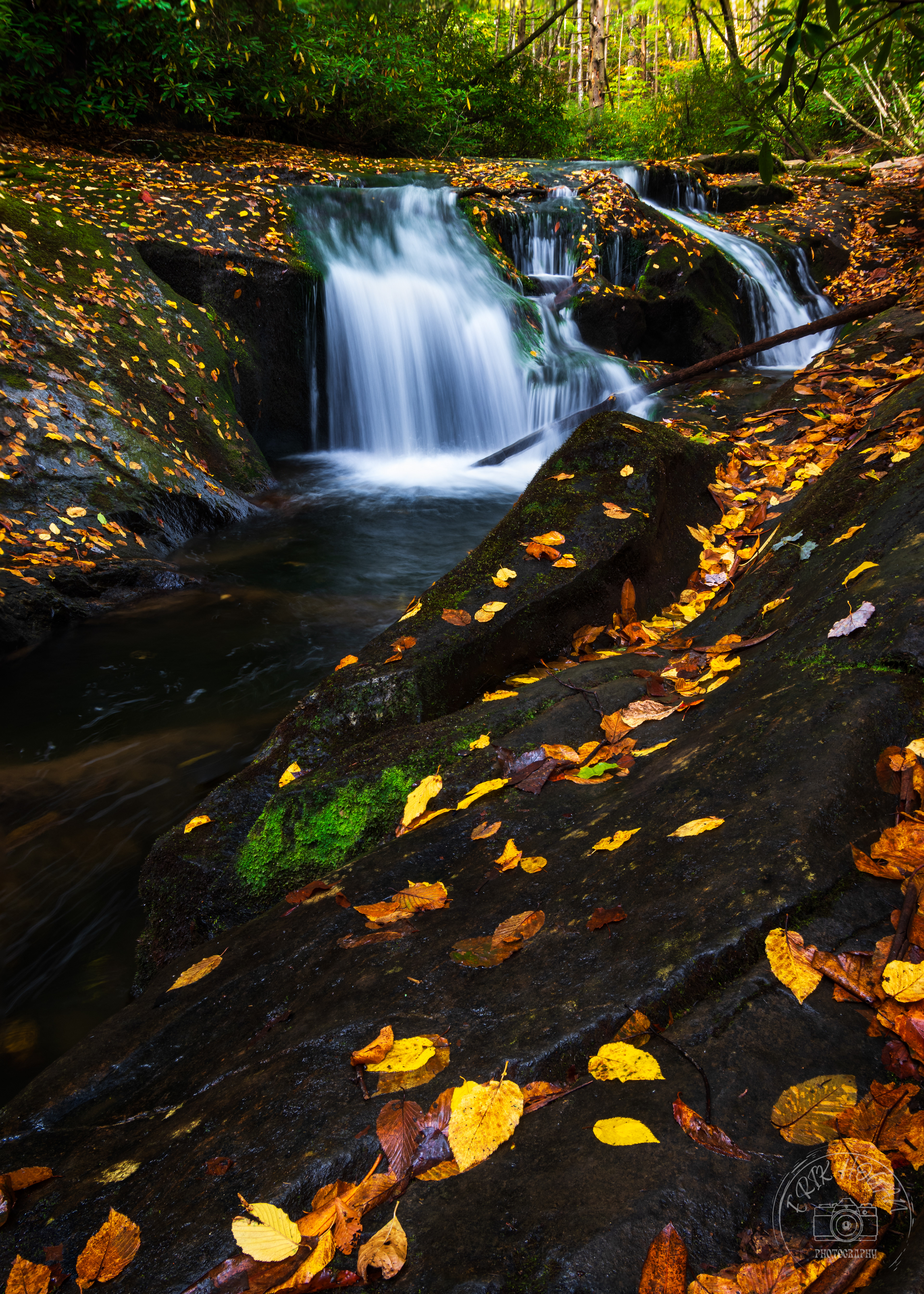 Moccasin Creek October 2023   V 