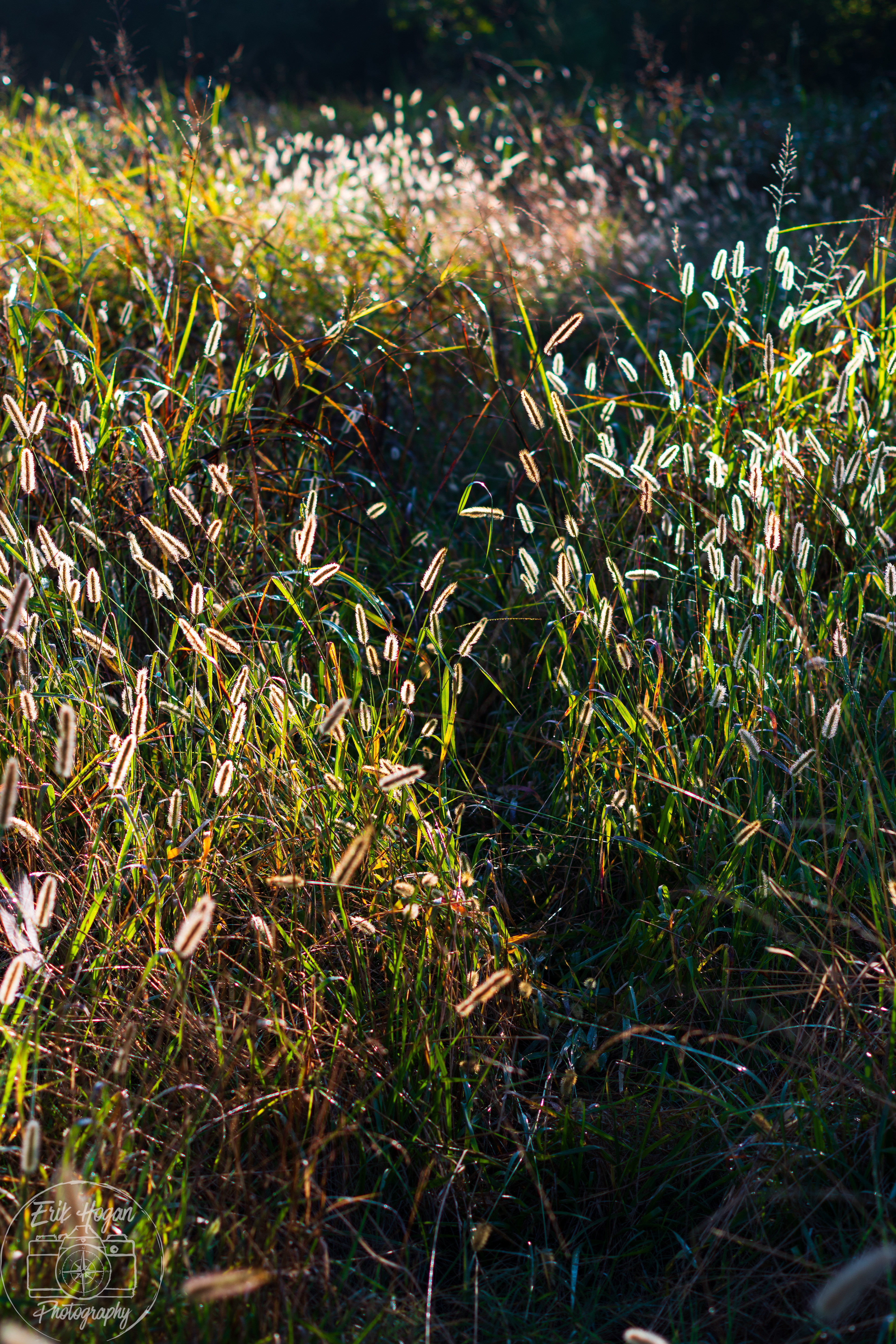 Nowhere Rd August 2024   I