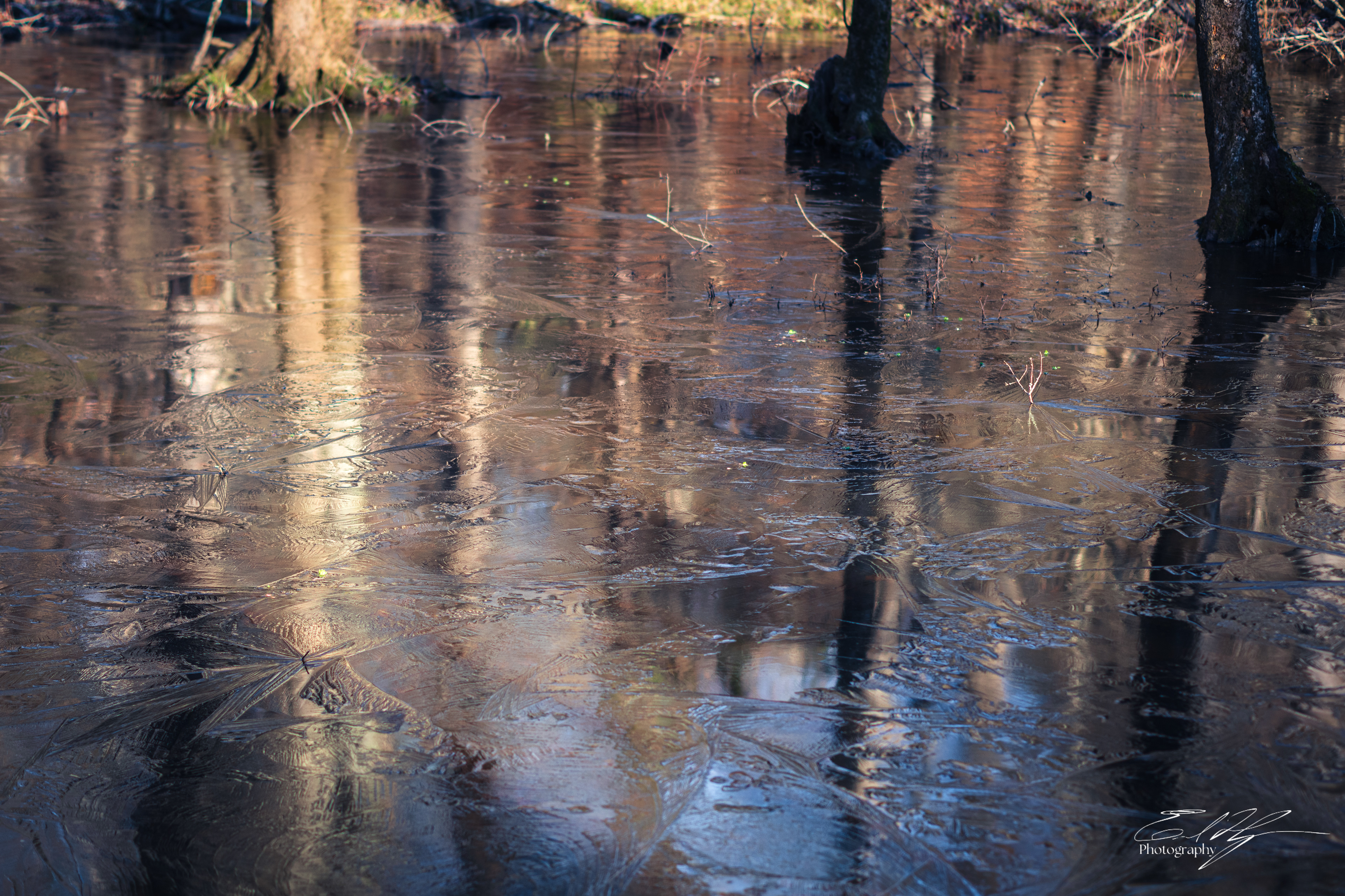 Sandy Creek Nature Center Ice January 2025   III