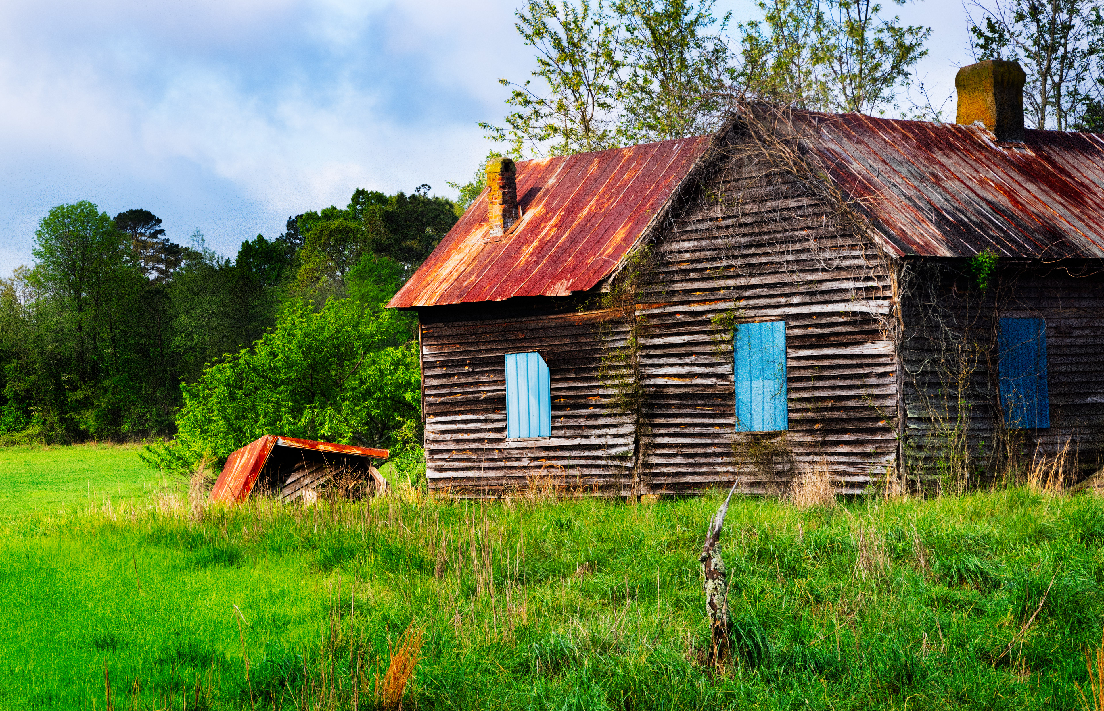 Oconee National Forest April 2021   VII