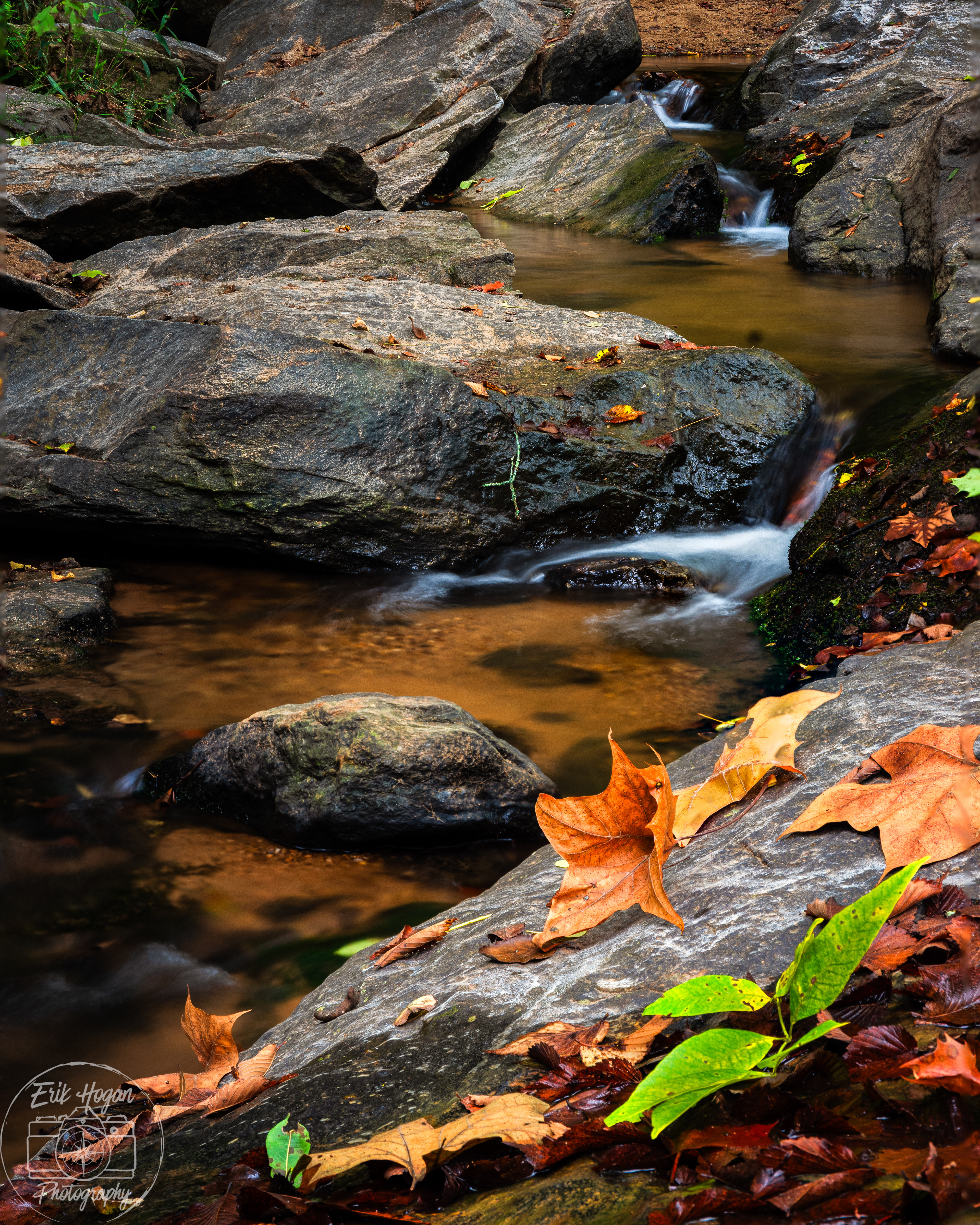 Ben Burton Park September 2024   I