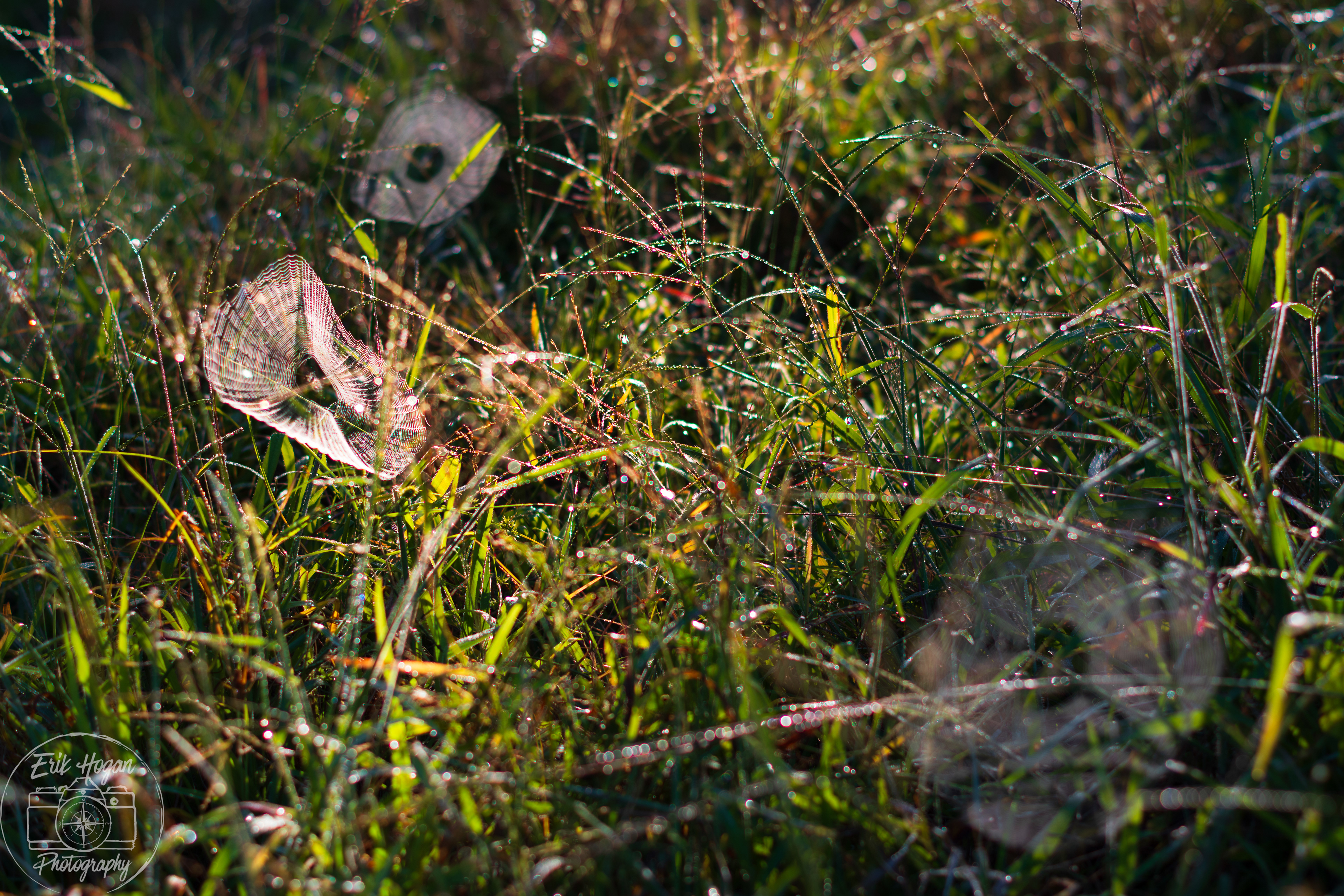 Nowhere Rd August 2024   III