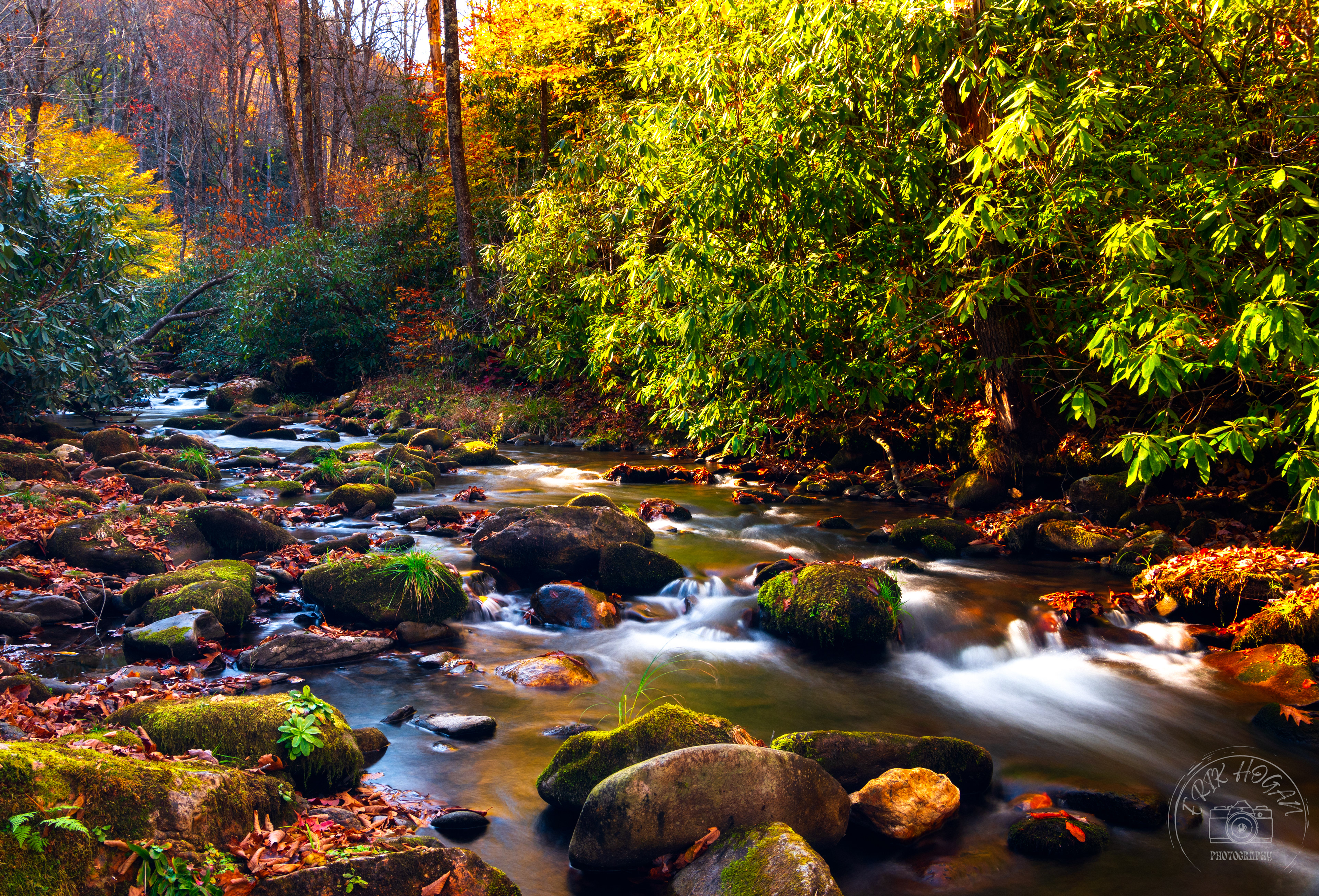 Cataloochee Valley October 2022   XI