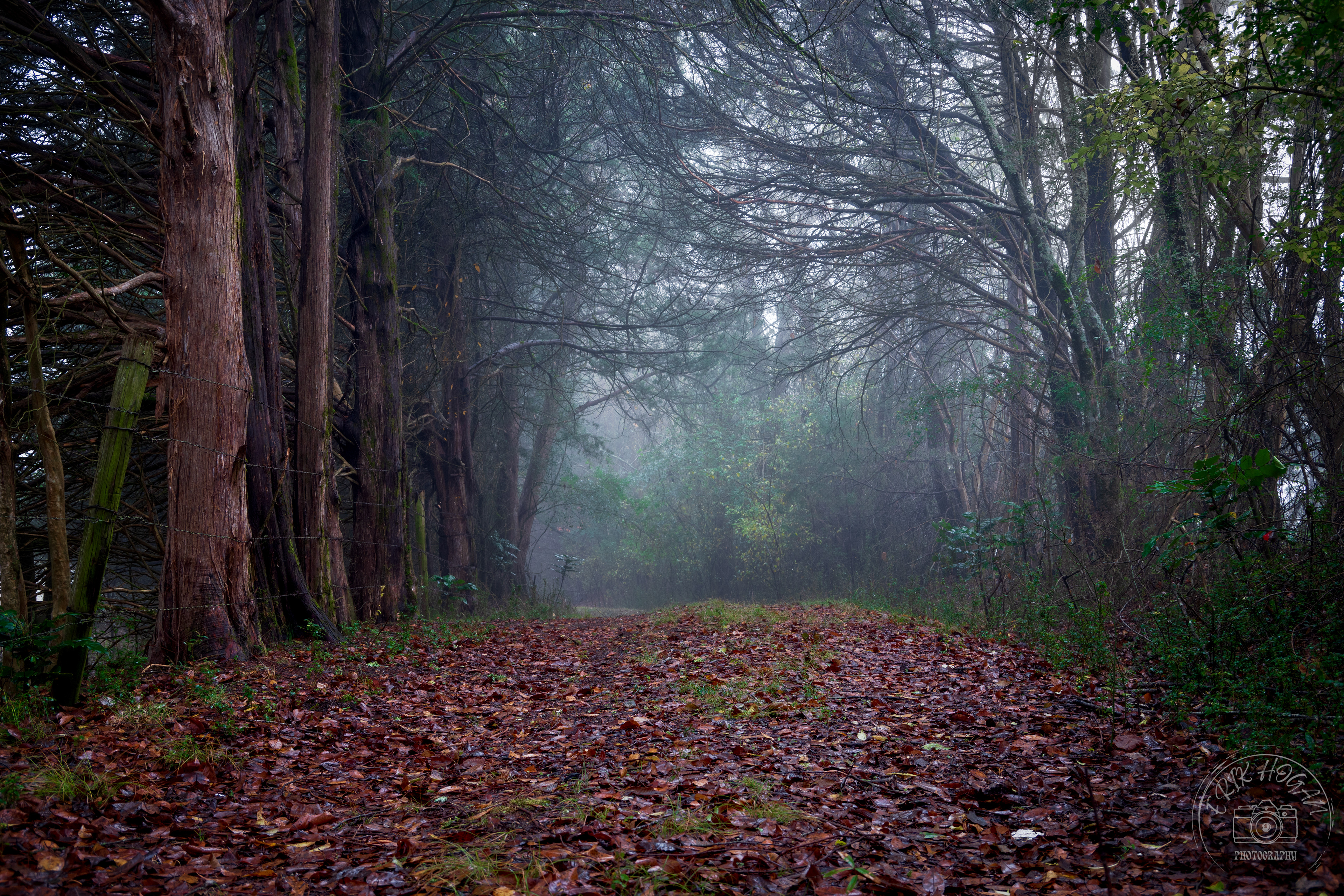 Nowhere Rd December 2022