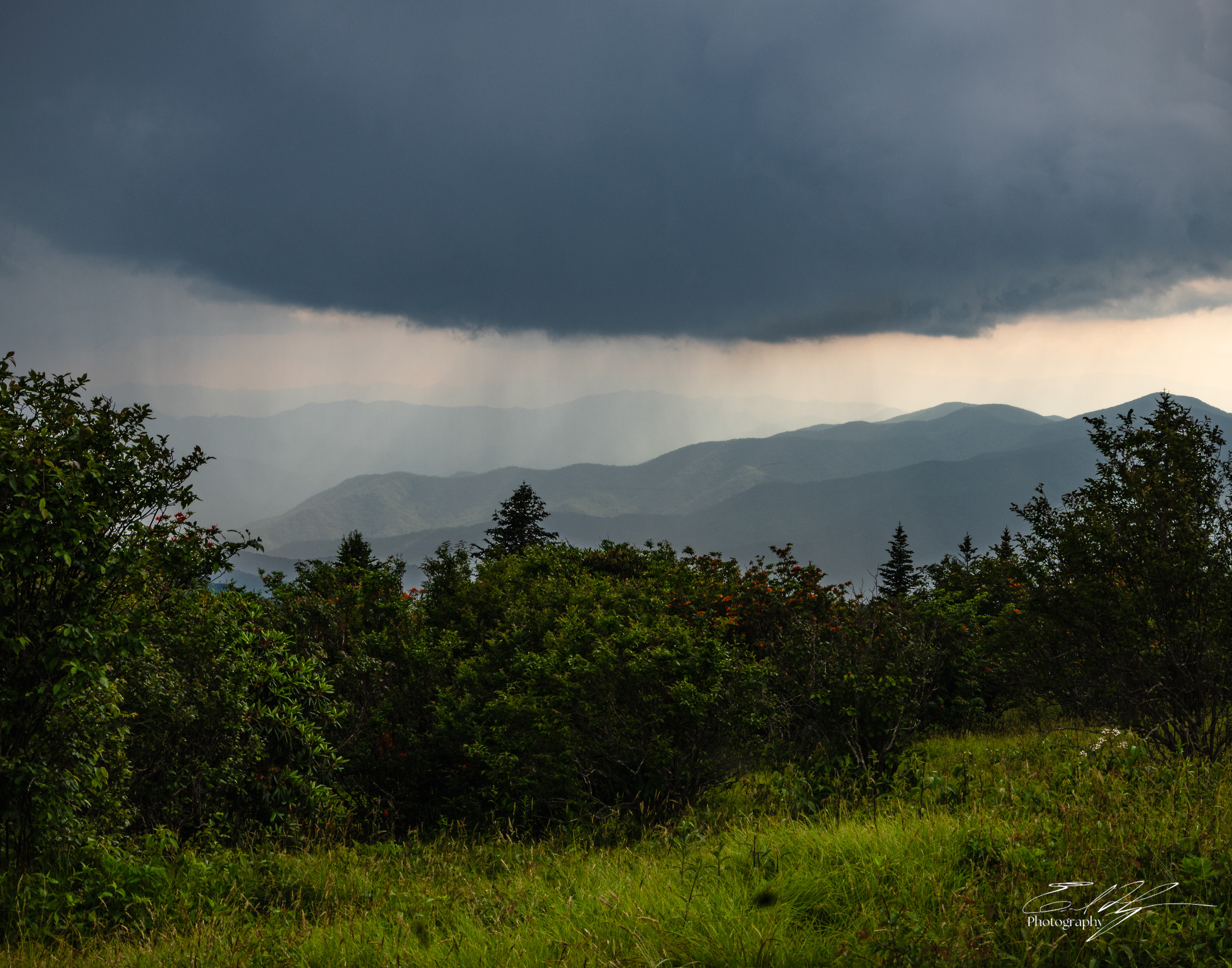 Andrew's Bald June 2025 XIII