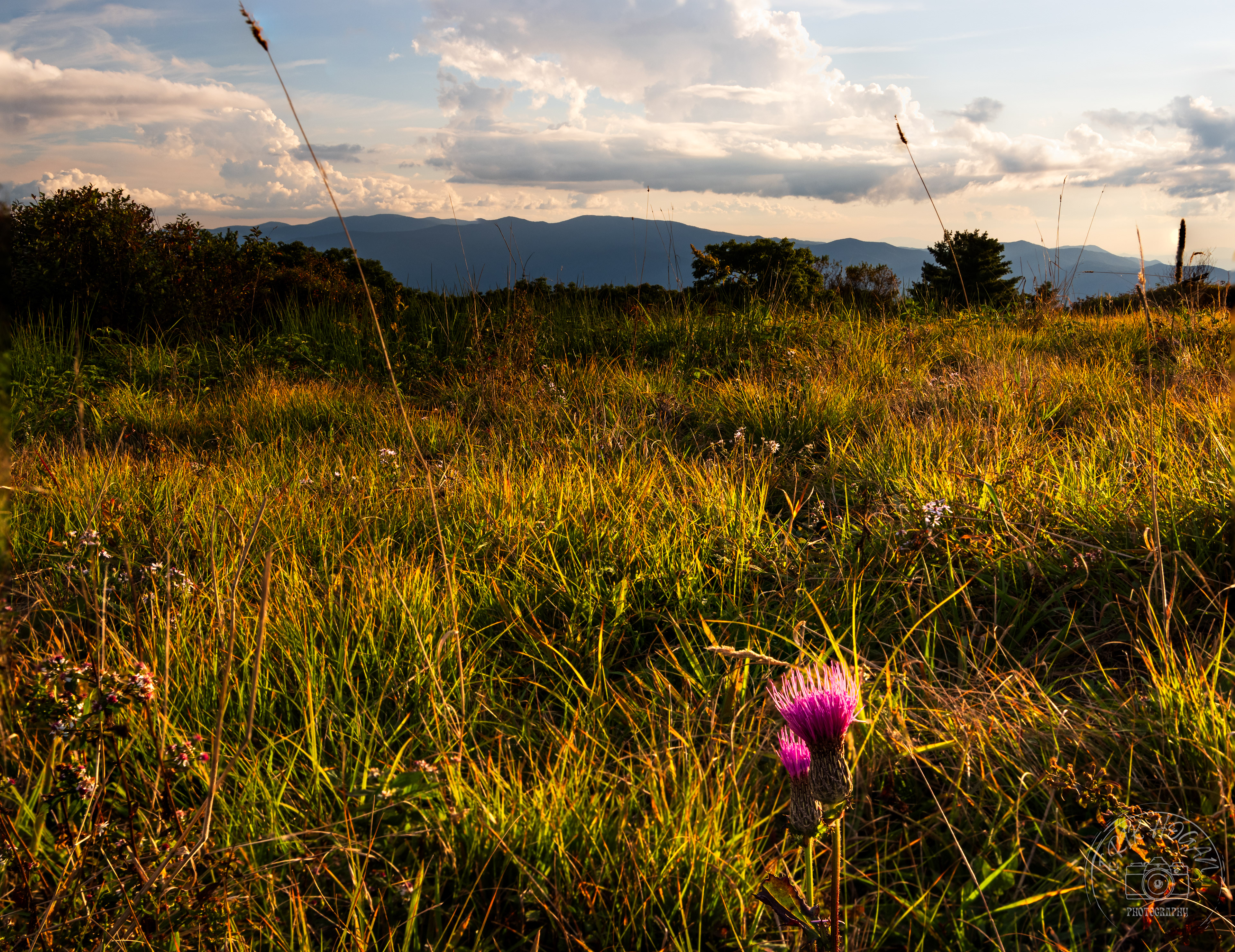 Gregory Bald September 2023   III