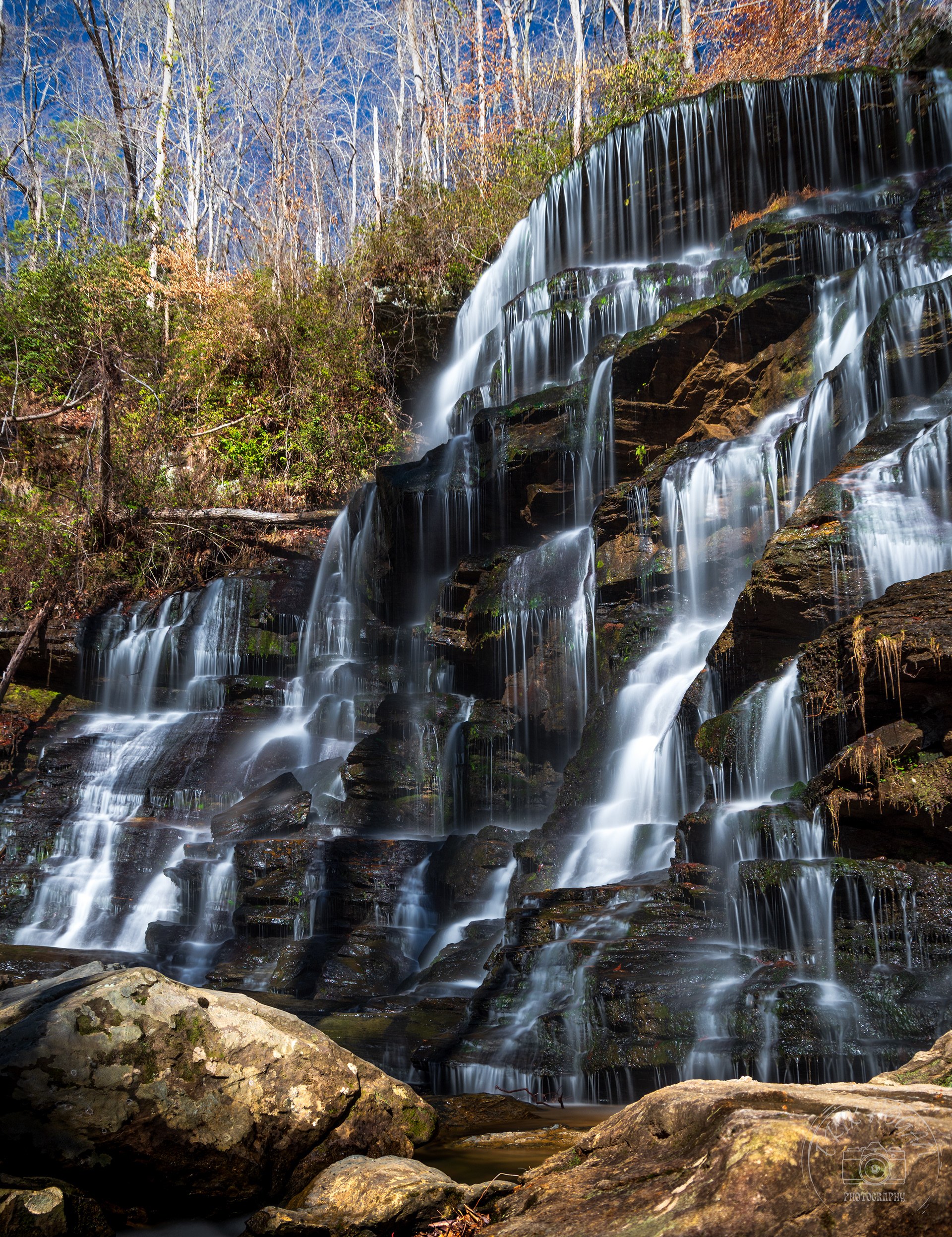 Yellow Branch Falls February 2023   I