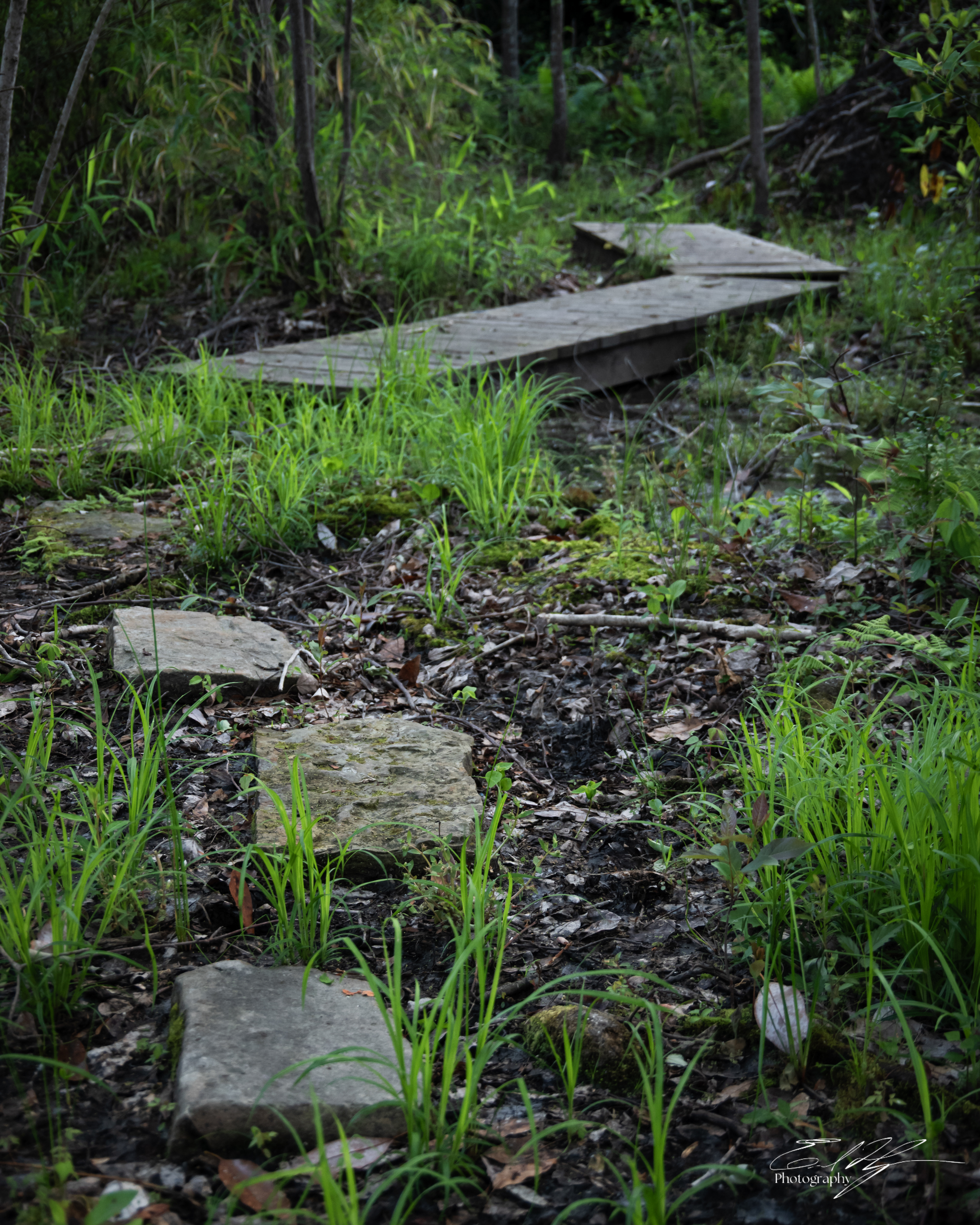 Green Bough House of Prayer April 2025   XIII