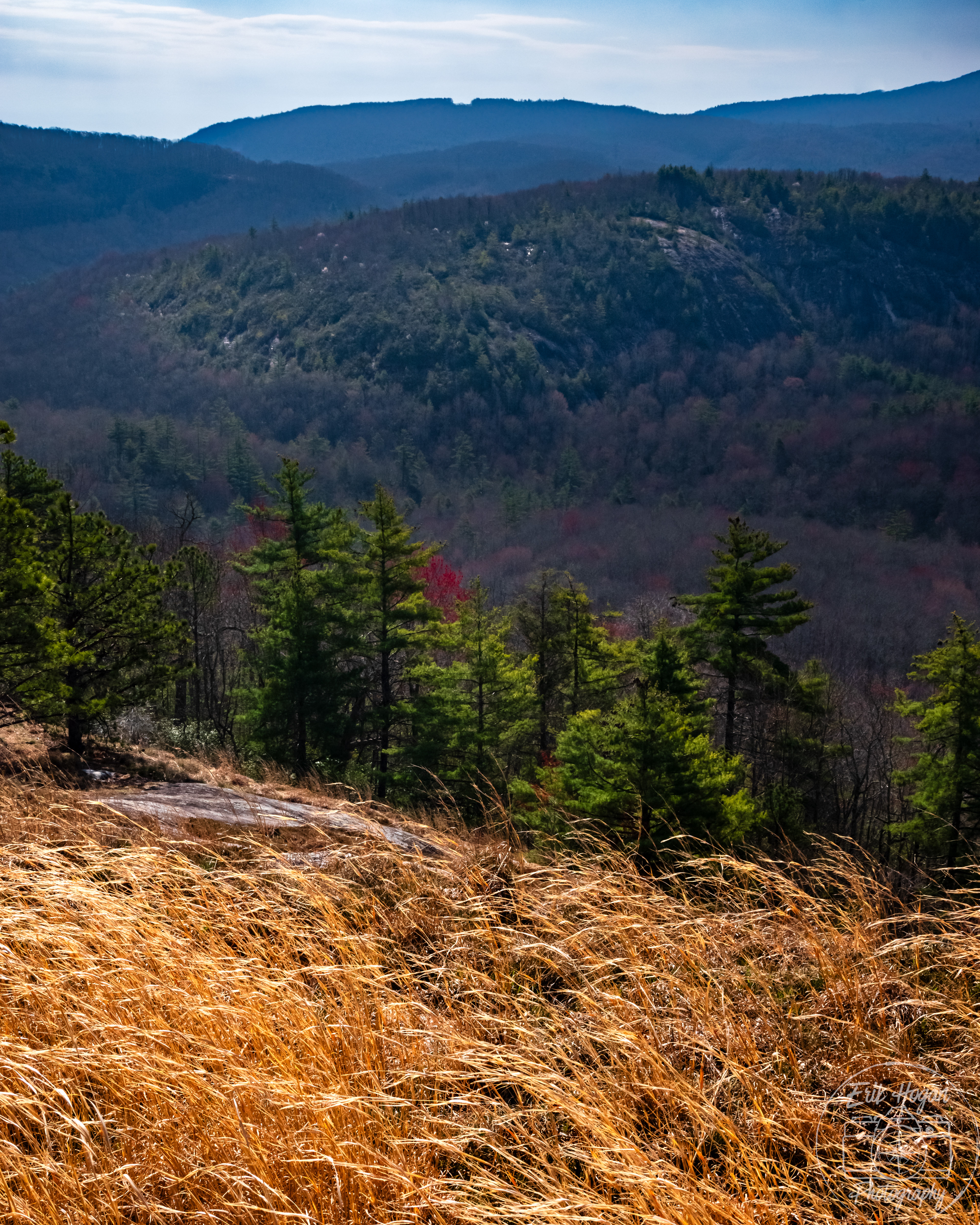 Panthertown Valley April 2024   I