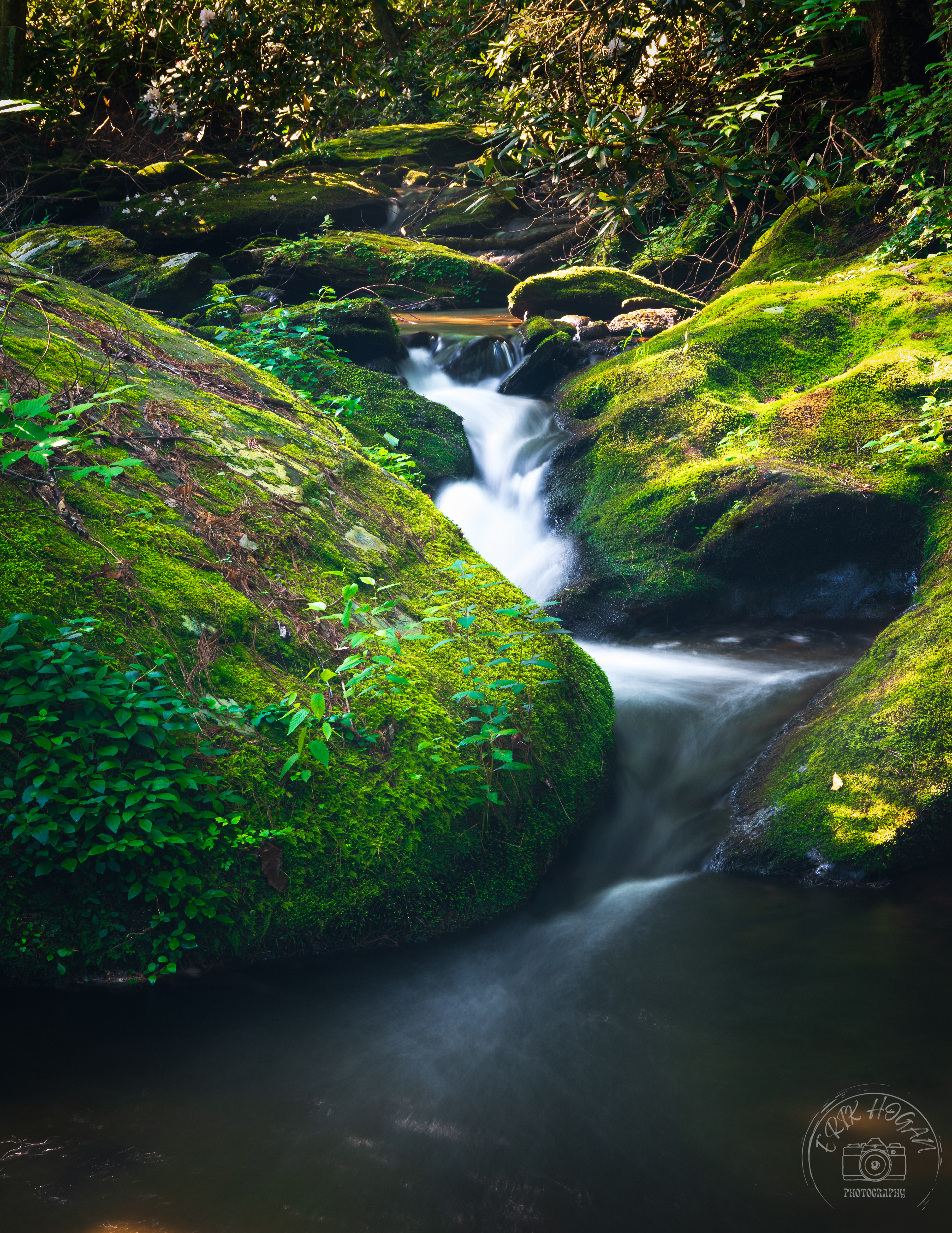 Conasauga River July 2023 V