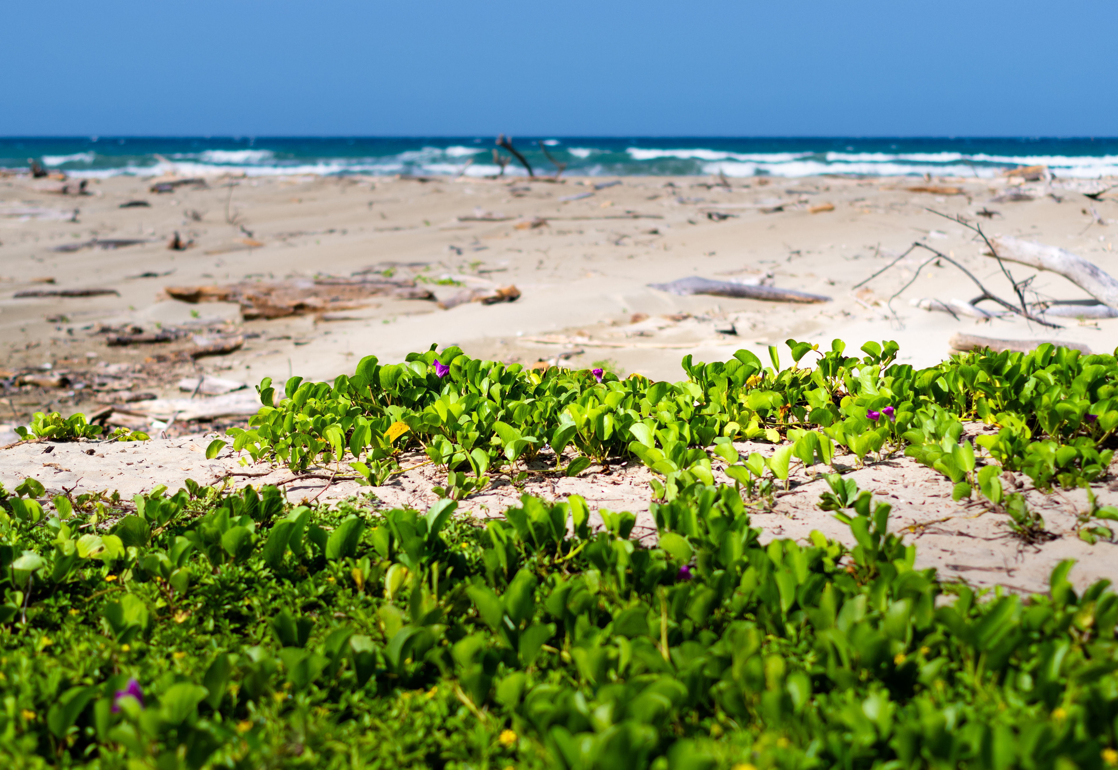 Puerto La Boca July 2021   X