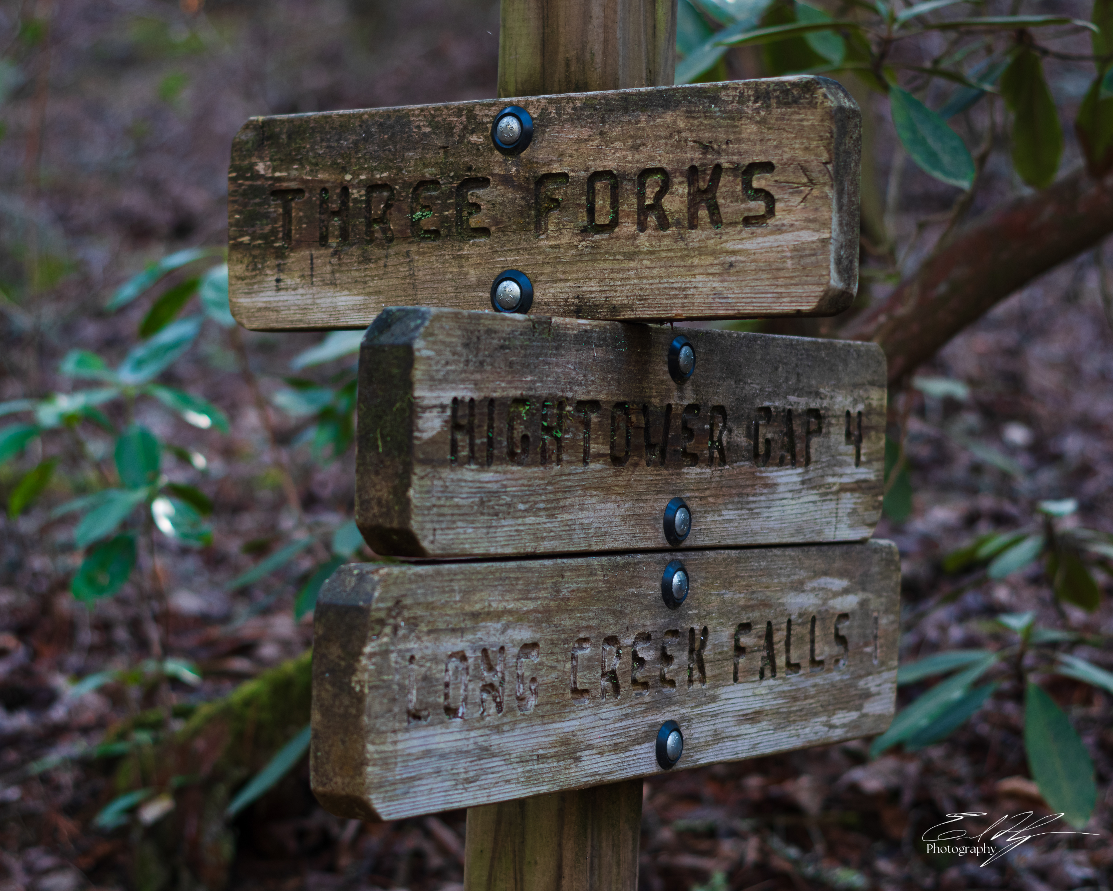 Appalachian Trail 2025   I