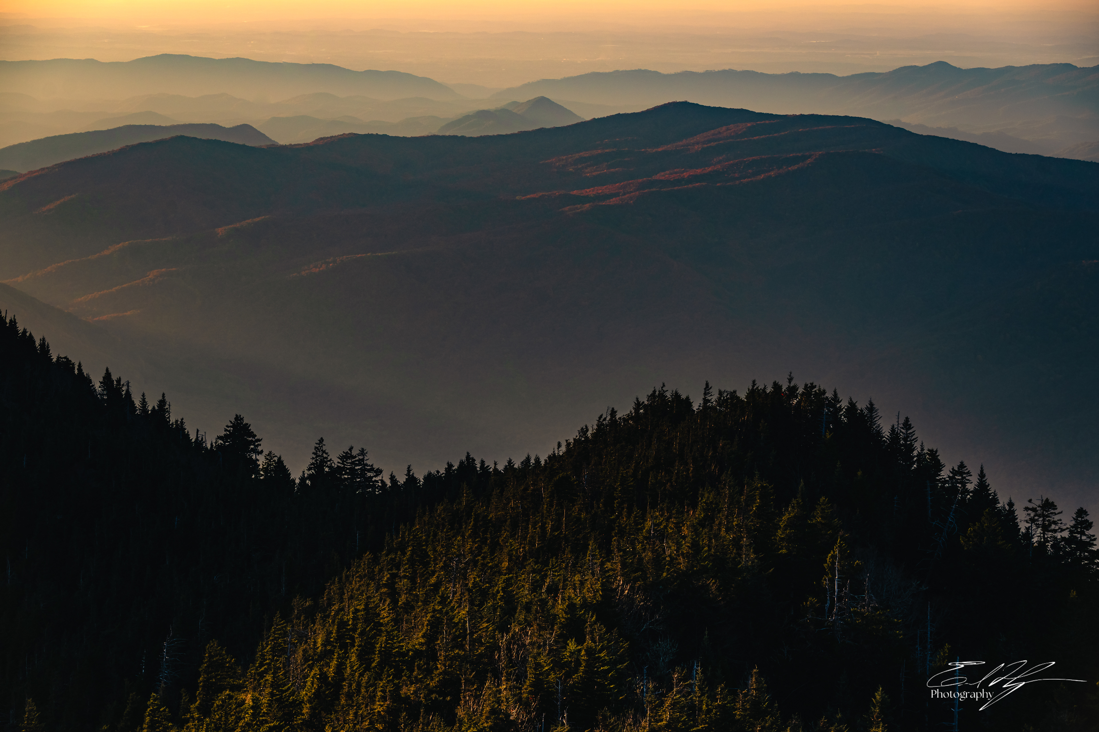 Mount LeConte October 2024   VII