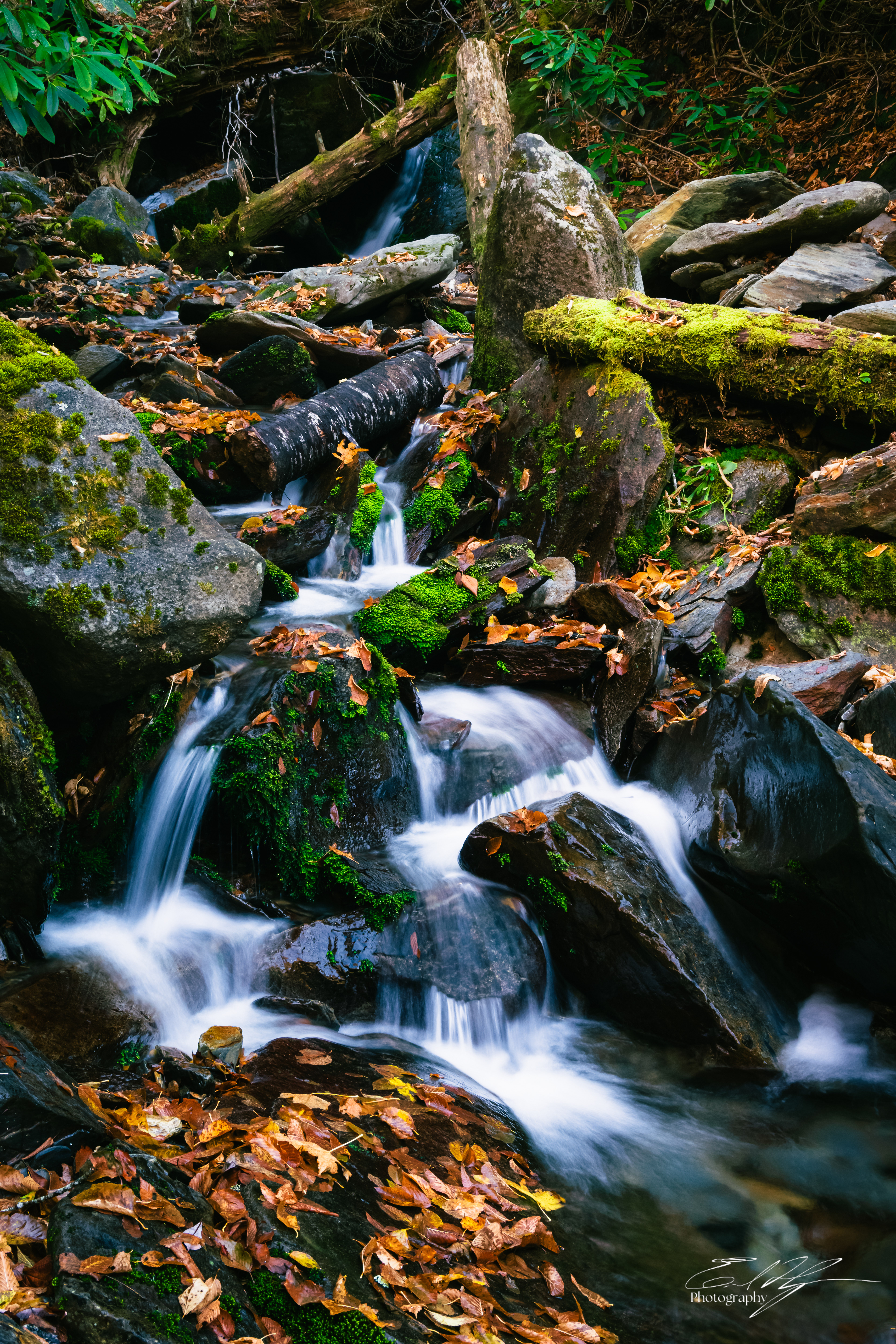 Alum Cave Trail October 2024   XII