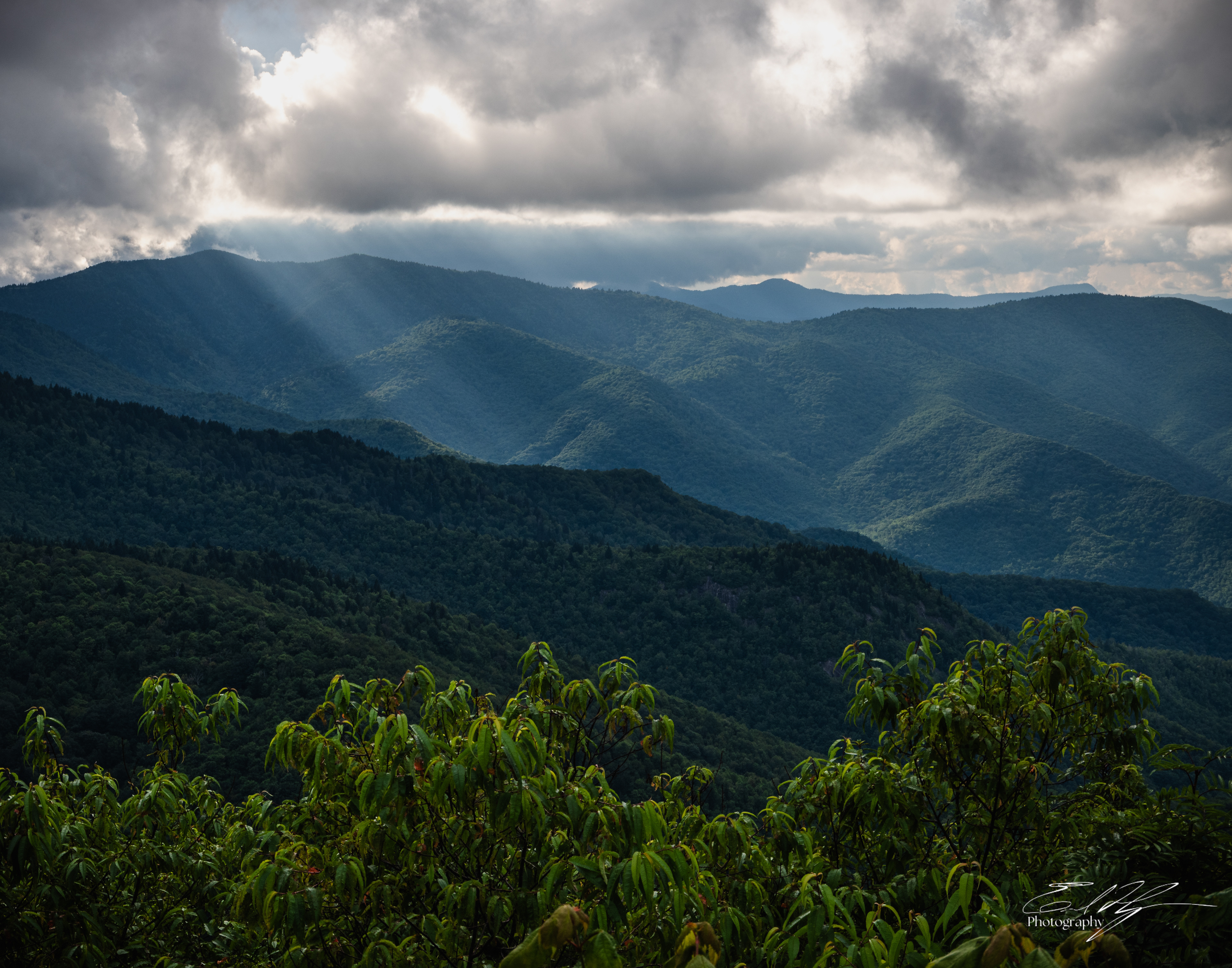 Sam Knob August 2025 VII