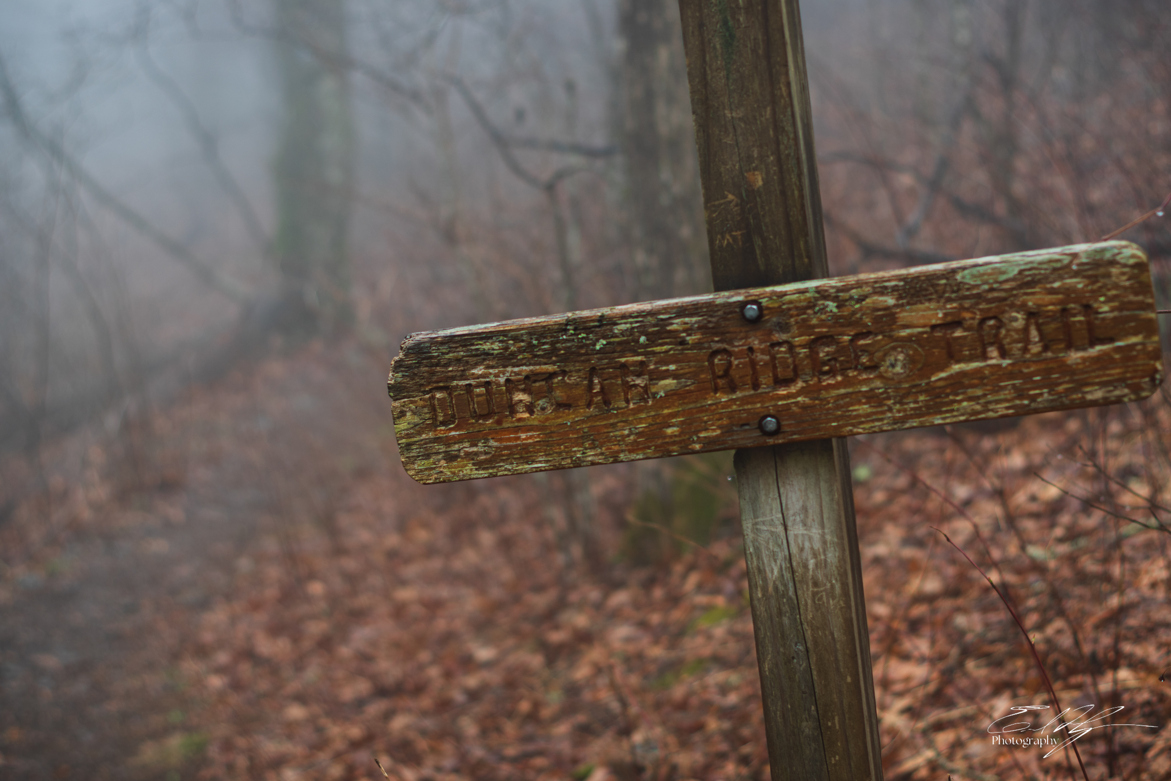 Duncan Ridge Trail 2025   I