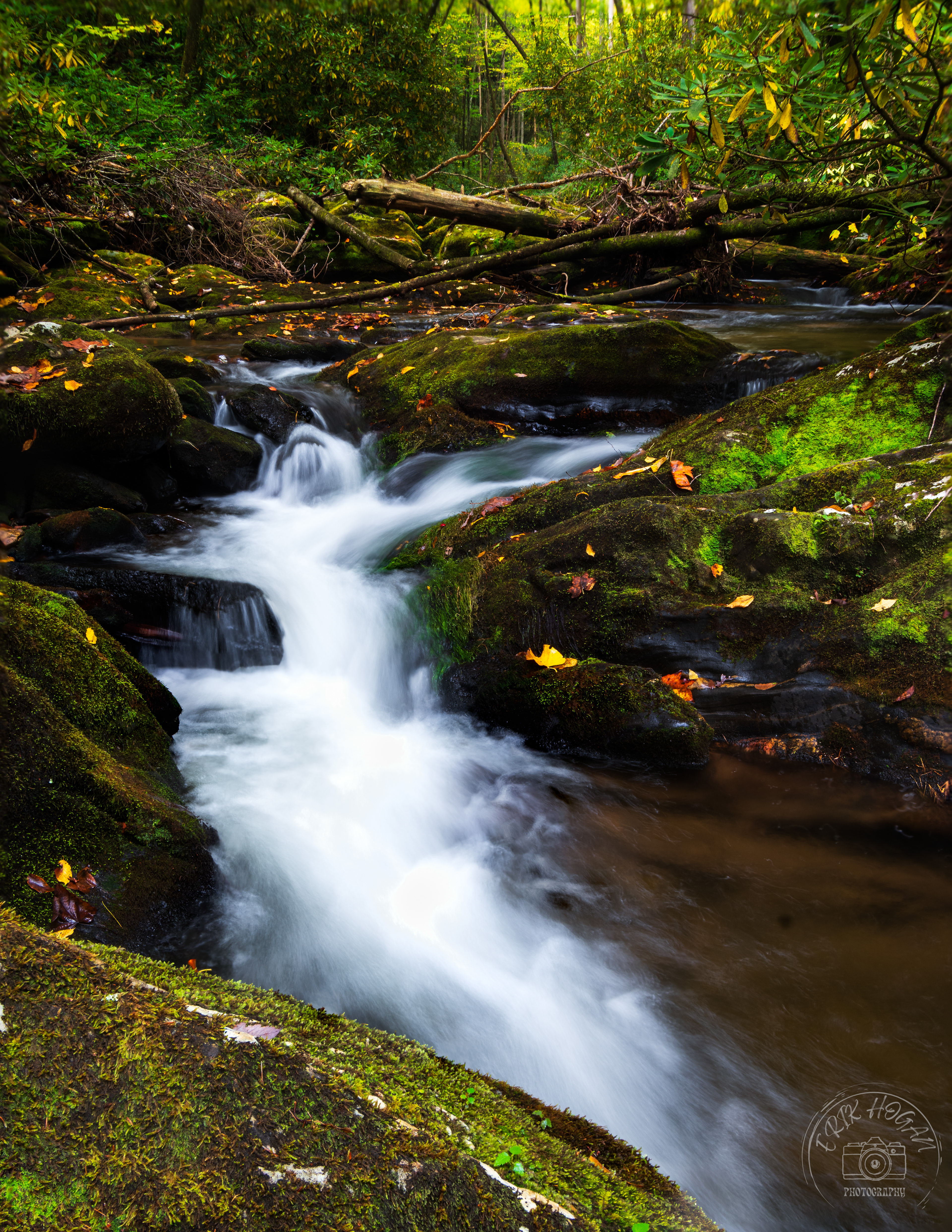 Moccasin Creek October 2023   II 
