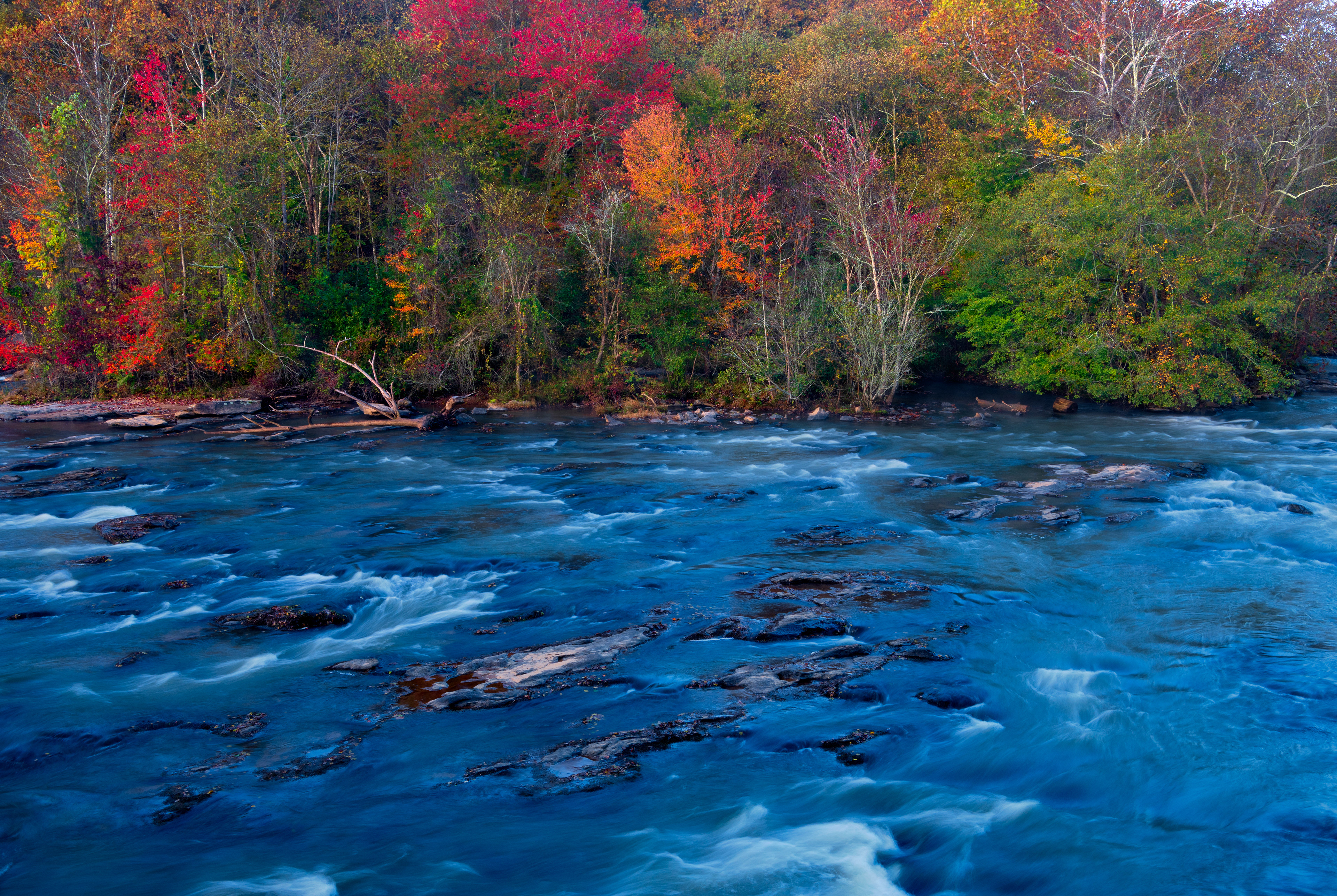 Ben Burton Park November 2021   III