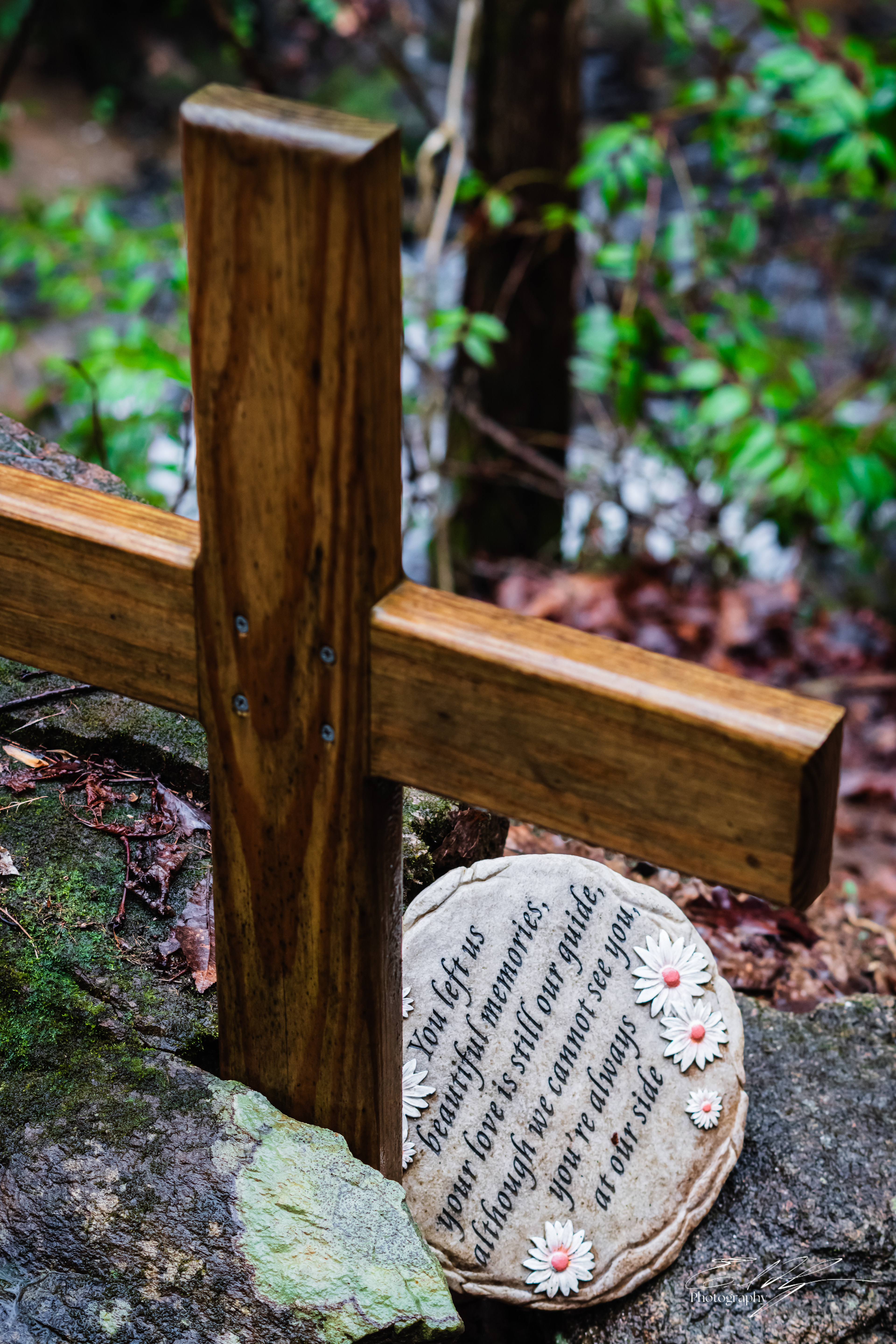 Tabor Falls March 2025   III