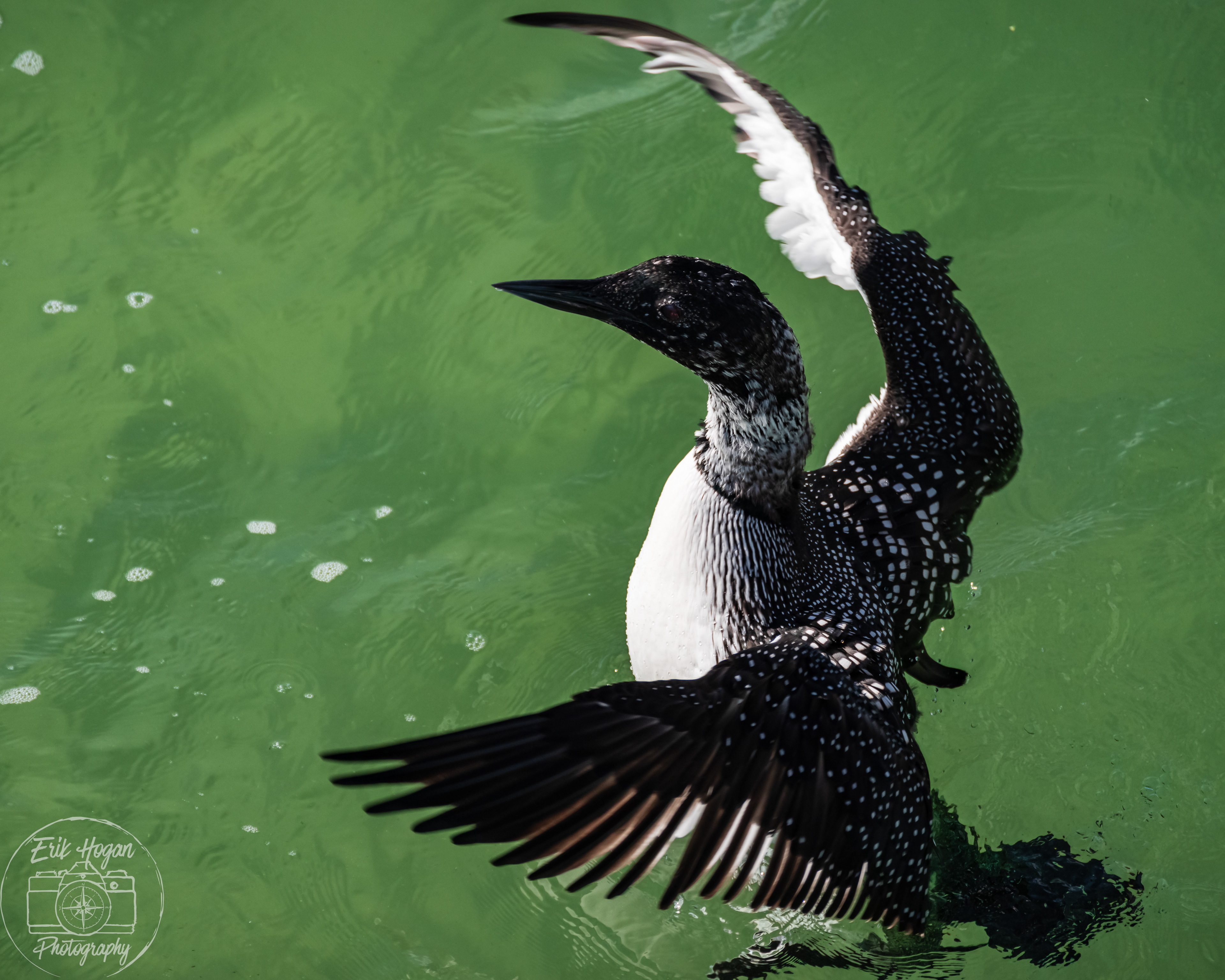 Miramar Beach March 2024   XIX