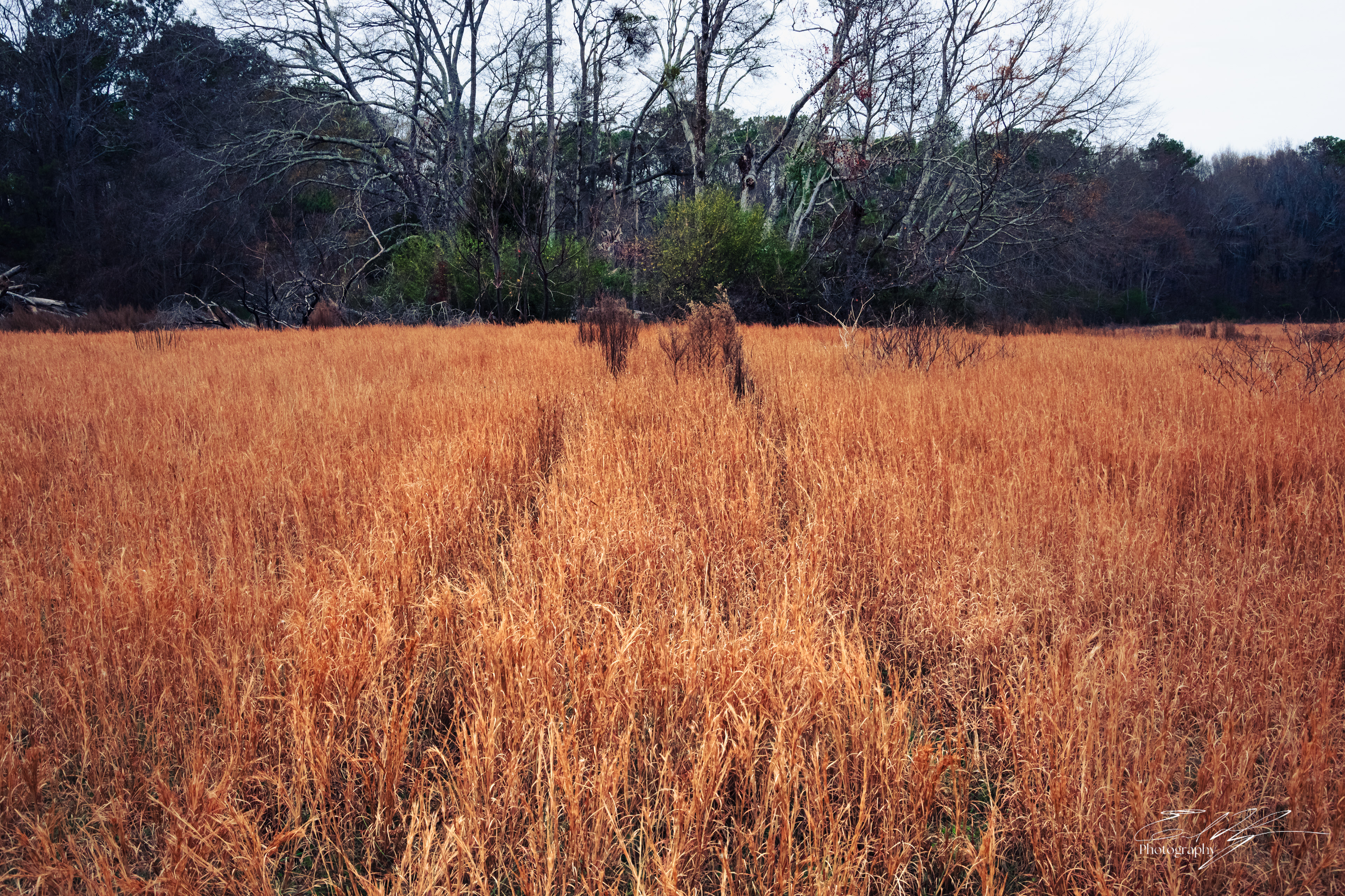 Walton County December 2024   I