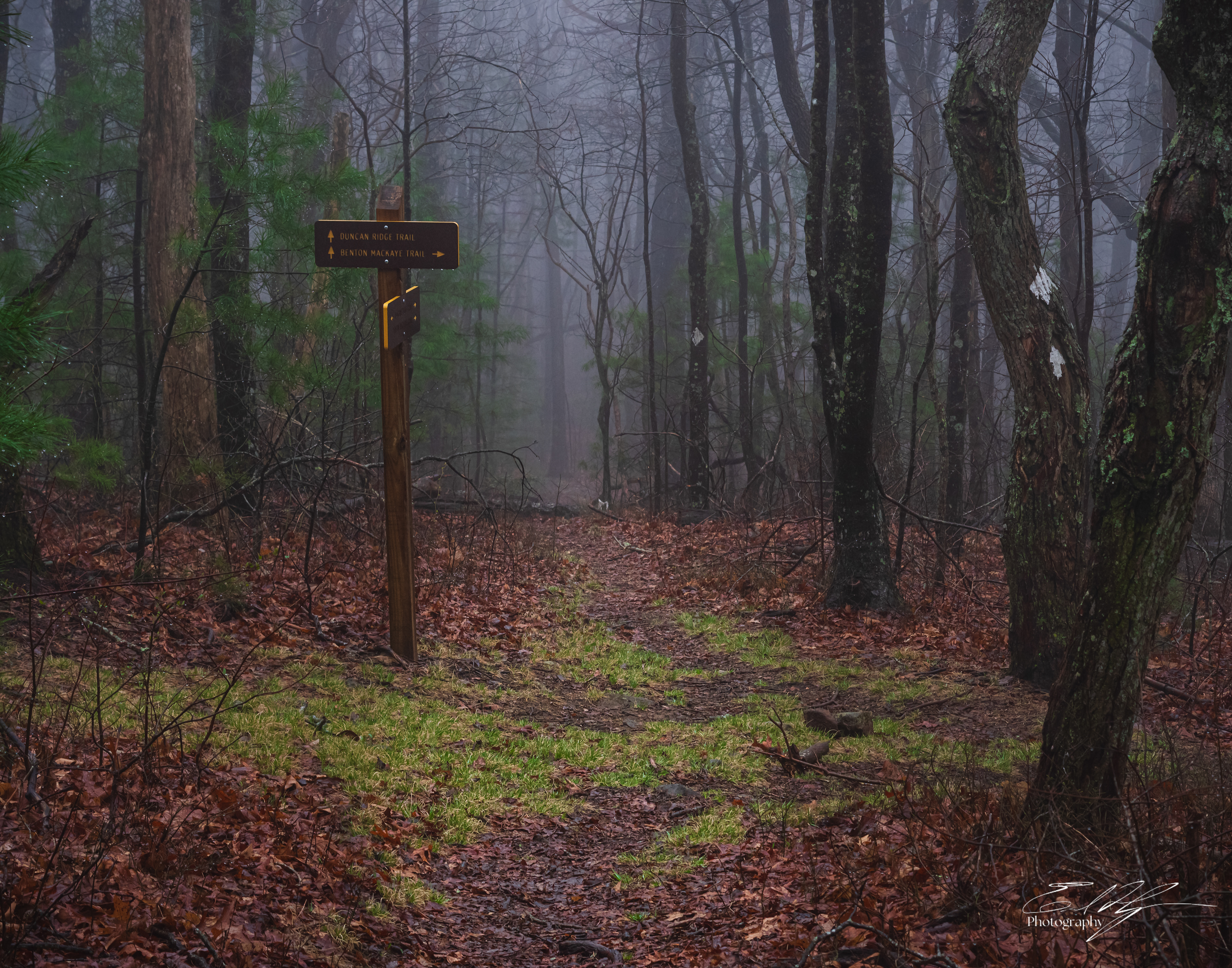 Benton MacKaye Trail 2025   I