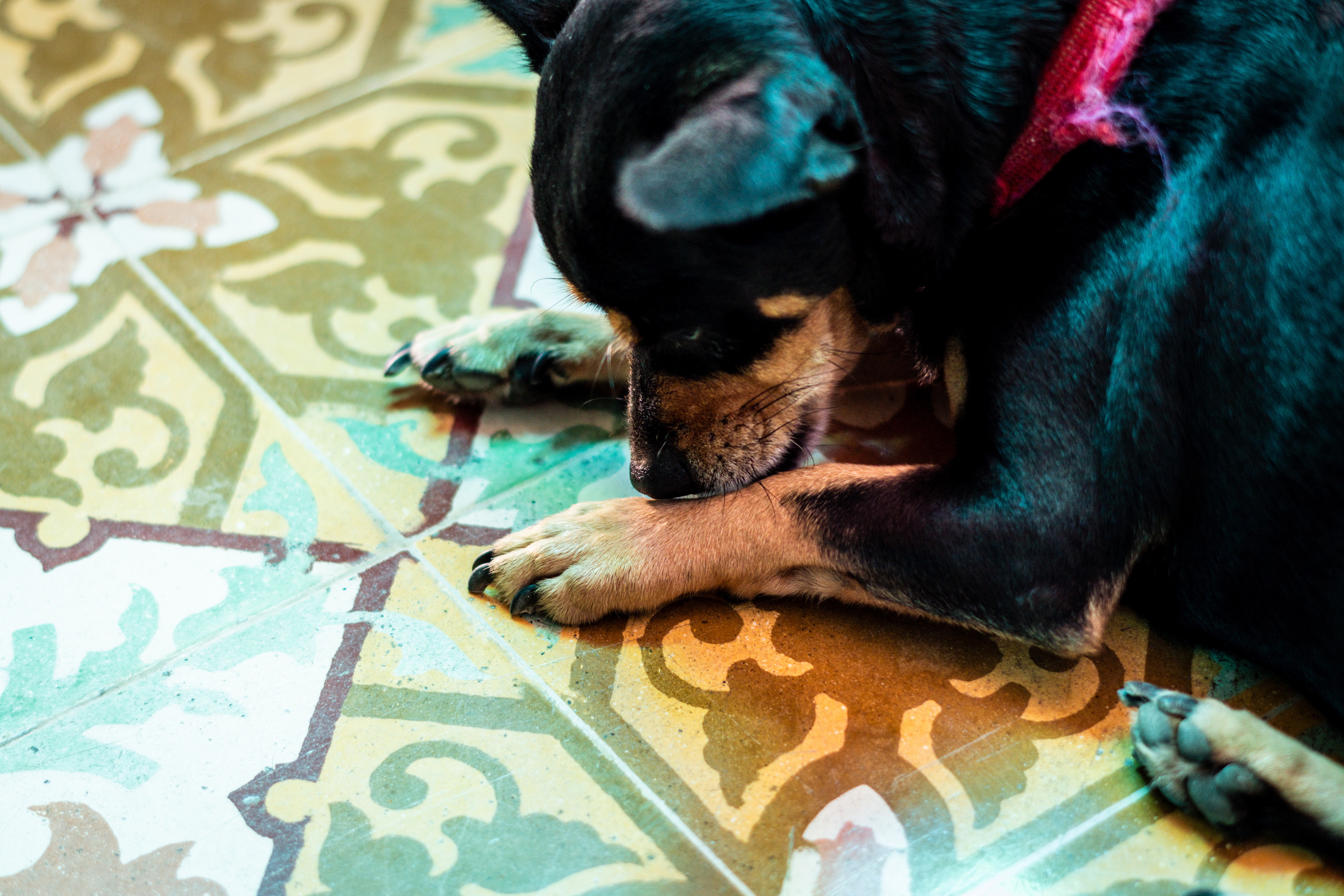 Hotel Kevin July 2021   IV