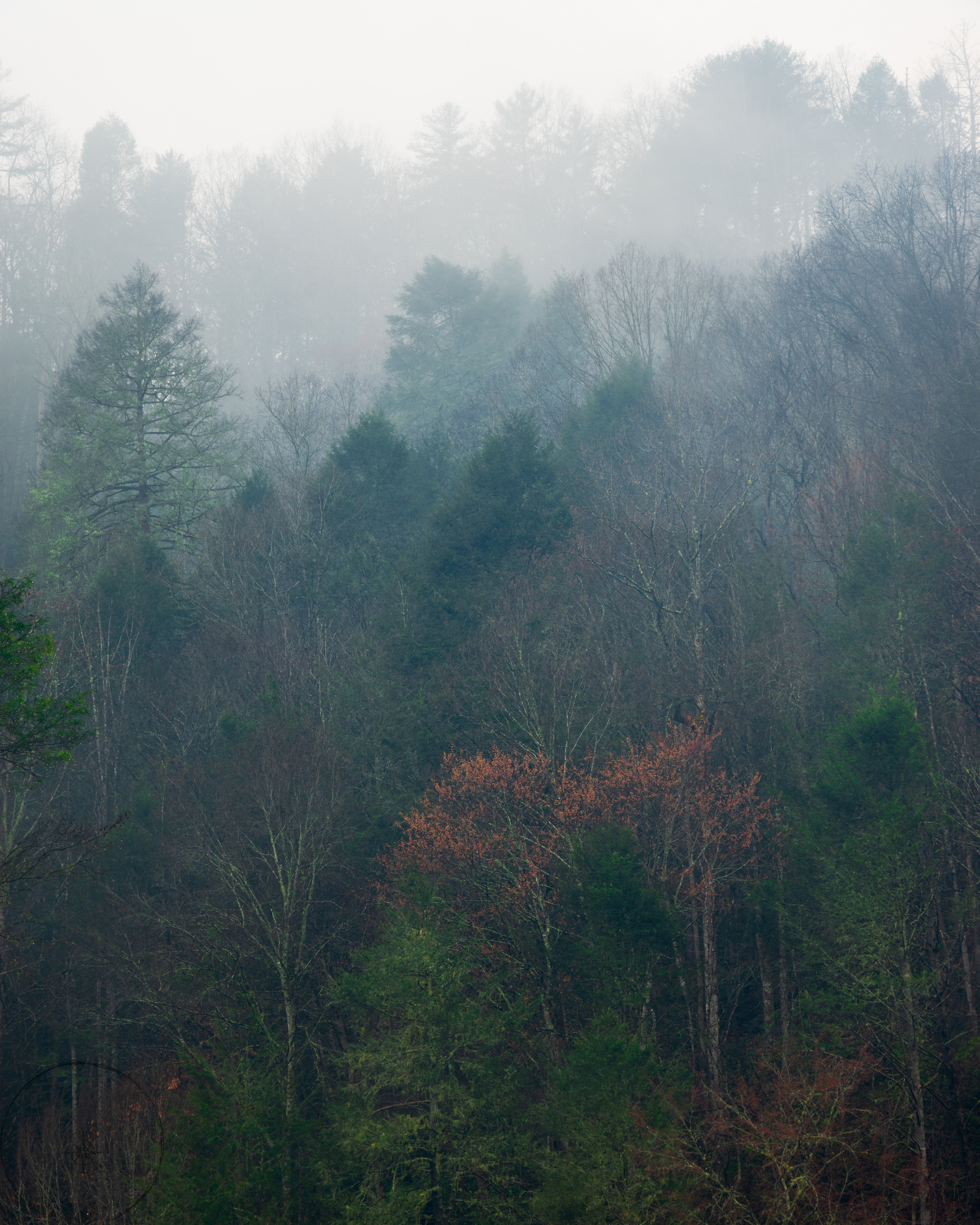 Long Creek Falls February 2024   IV