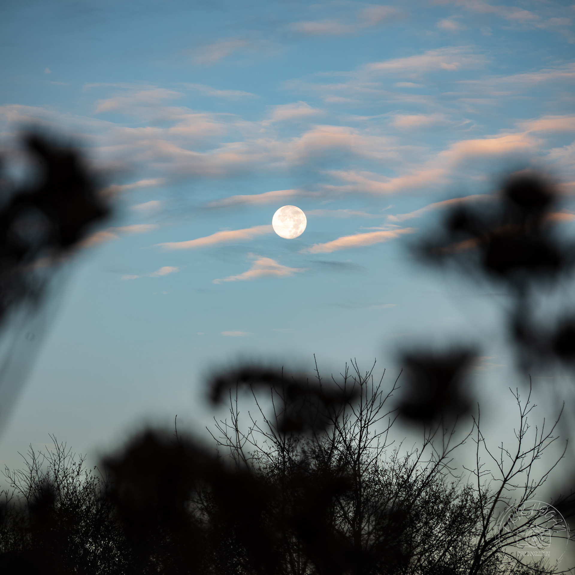 Full Moon November 2023