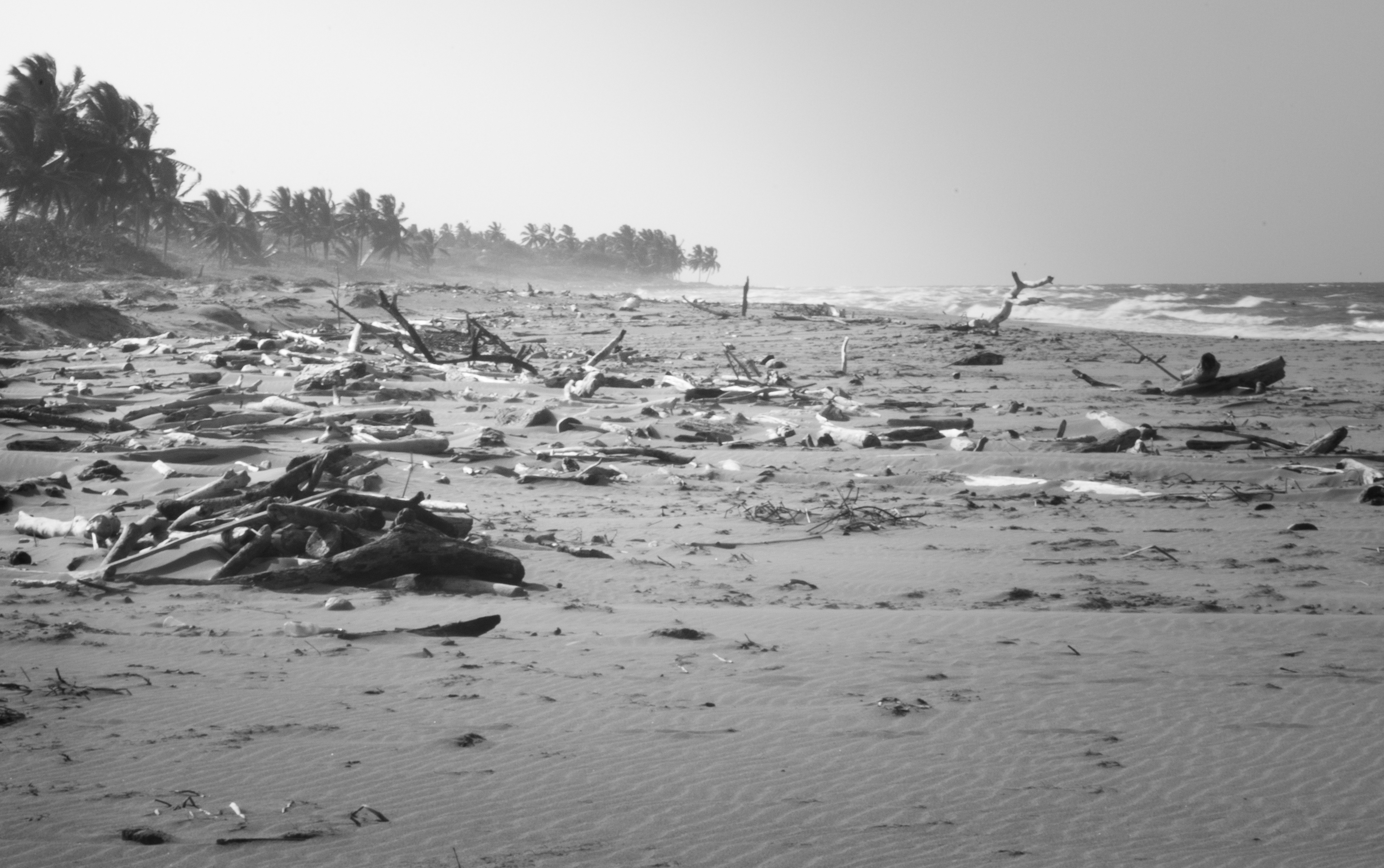 Puerto La Boca July 2021   XIII