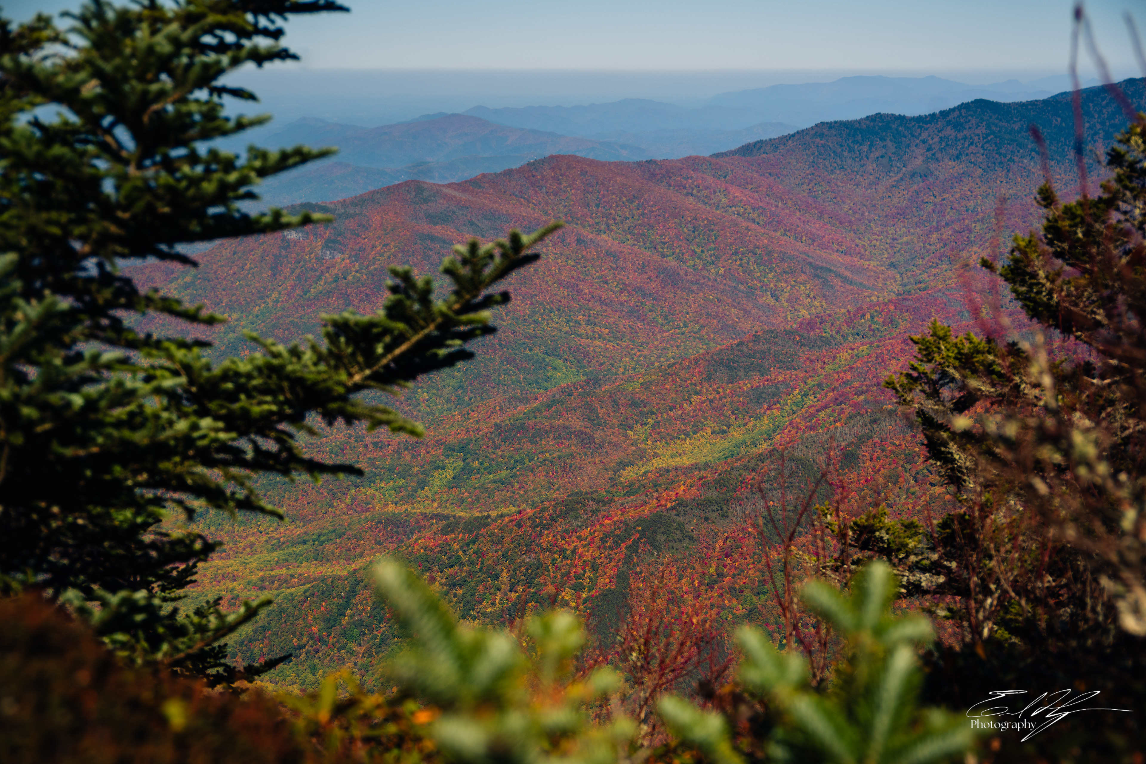 Mount LeConte October 2024   IV