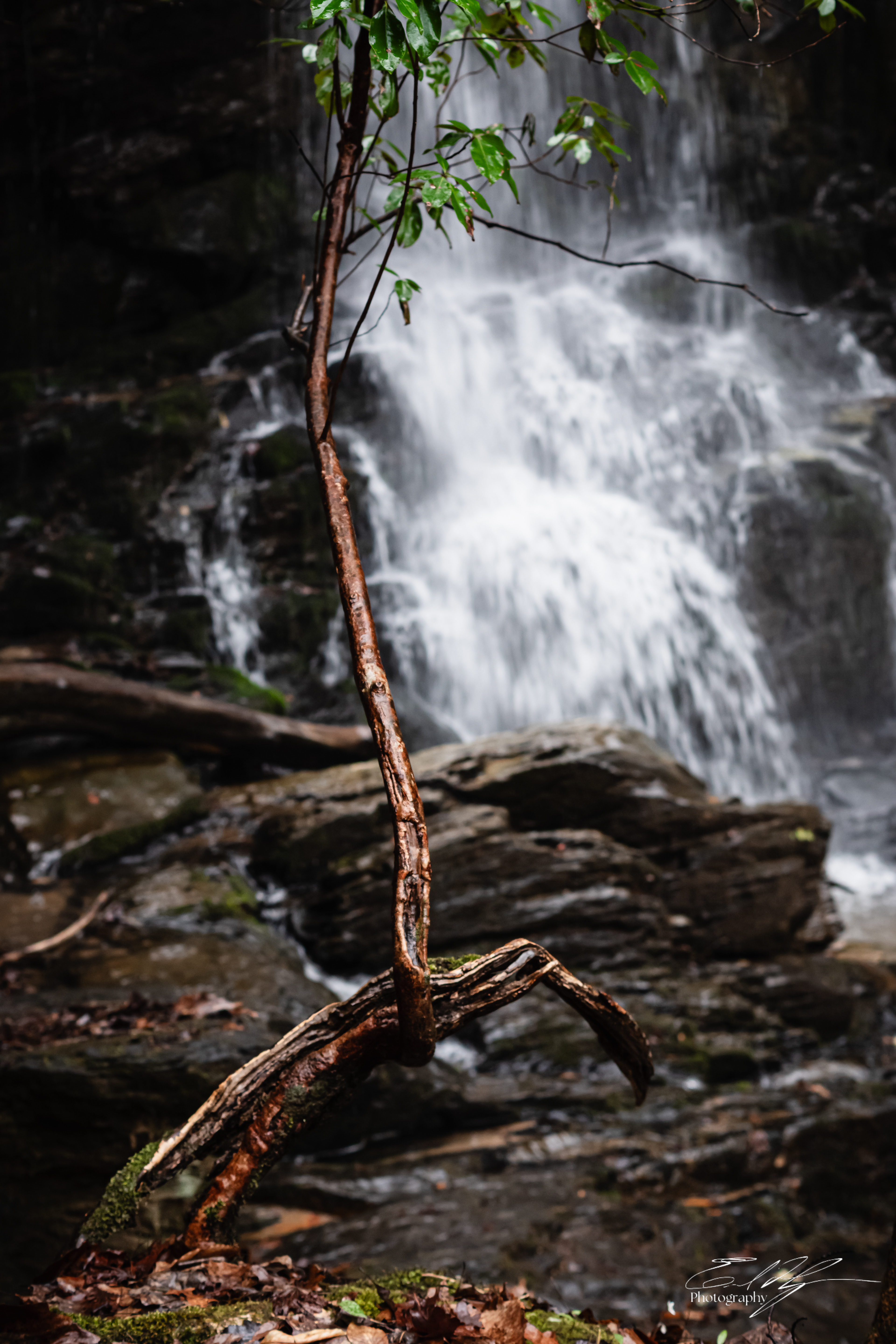 Tabor Falls March 2025   VII