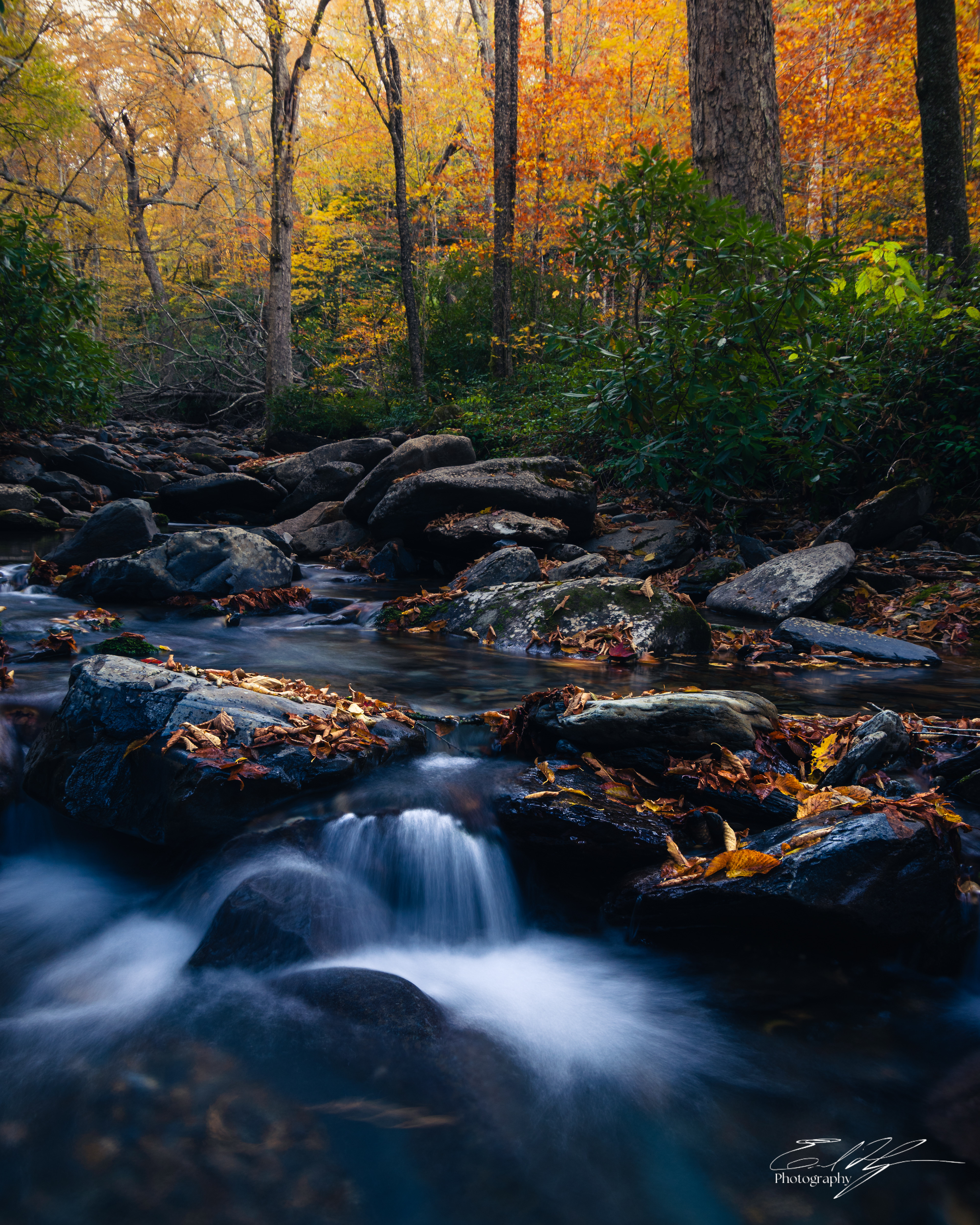 Alum Cave Trail October 2024   II