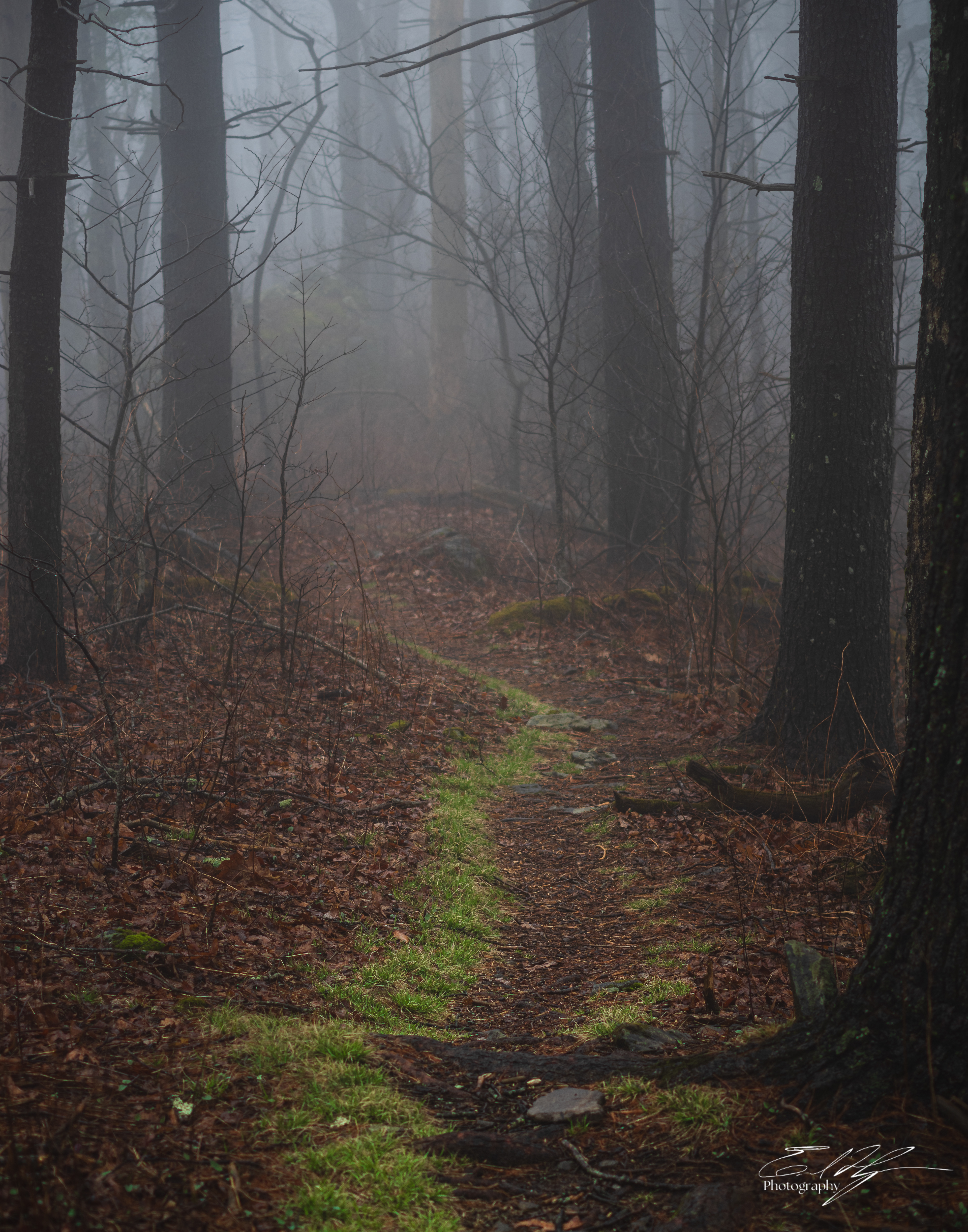 Duncan Ridge Trail 2025   II