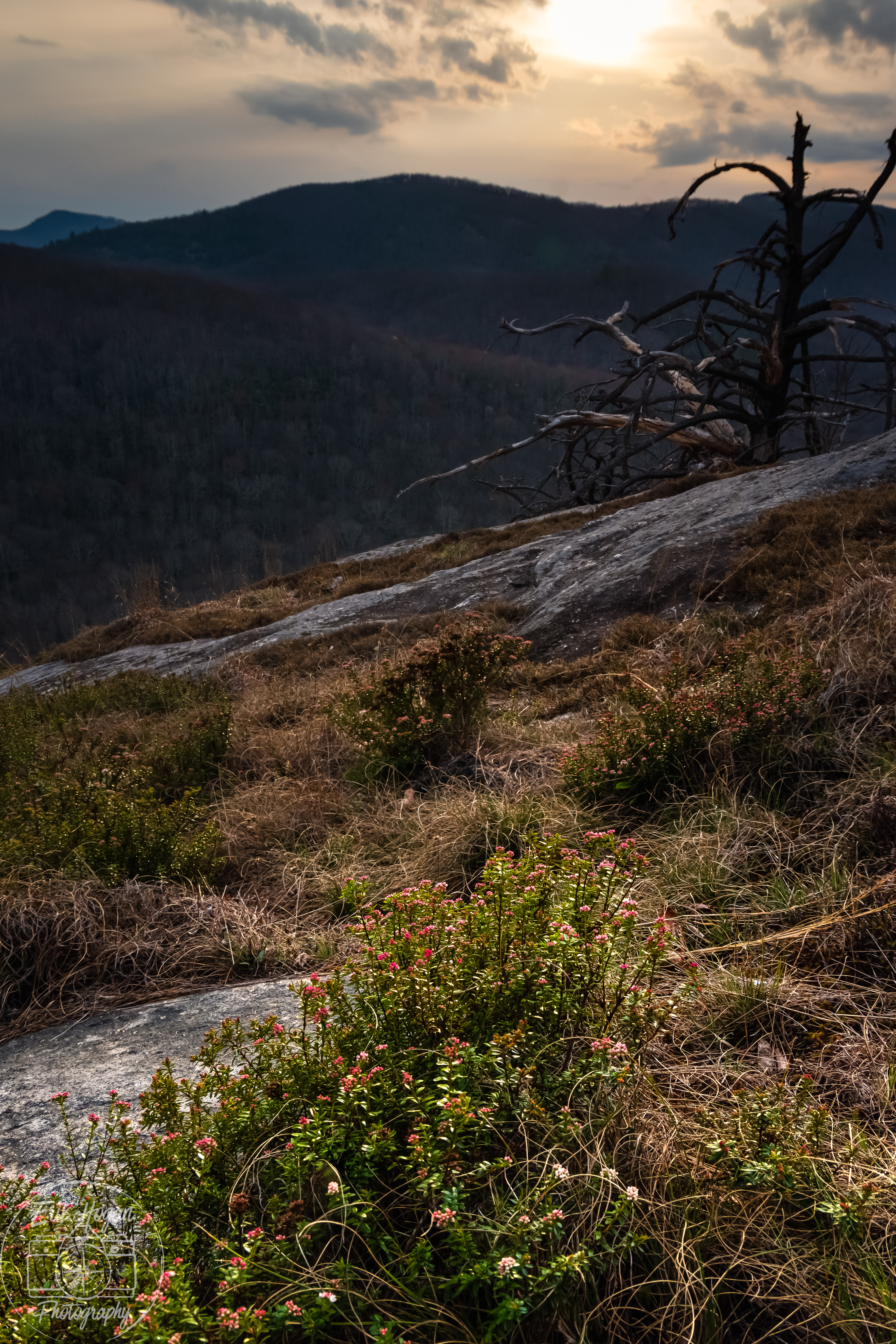Panthertown Valley April 2024   VIII