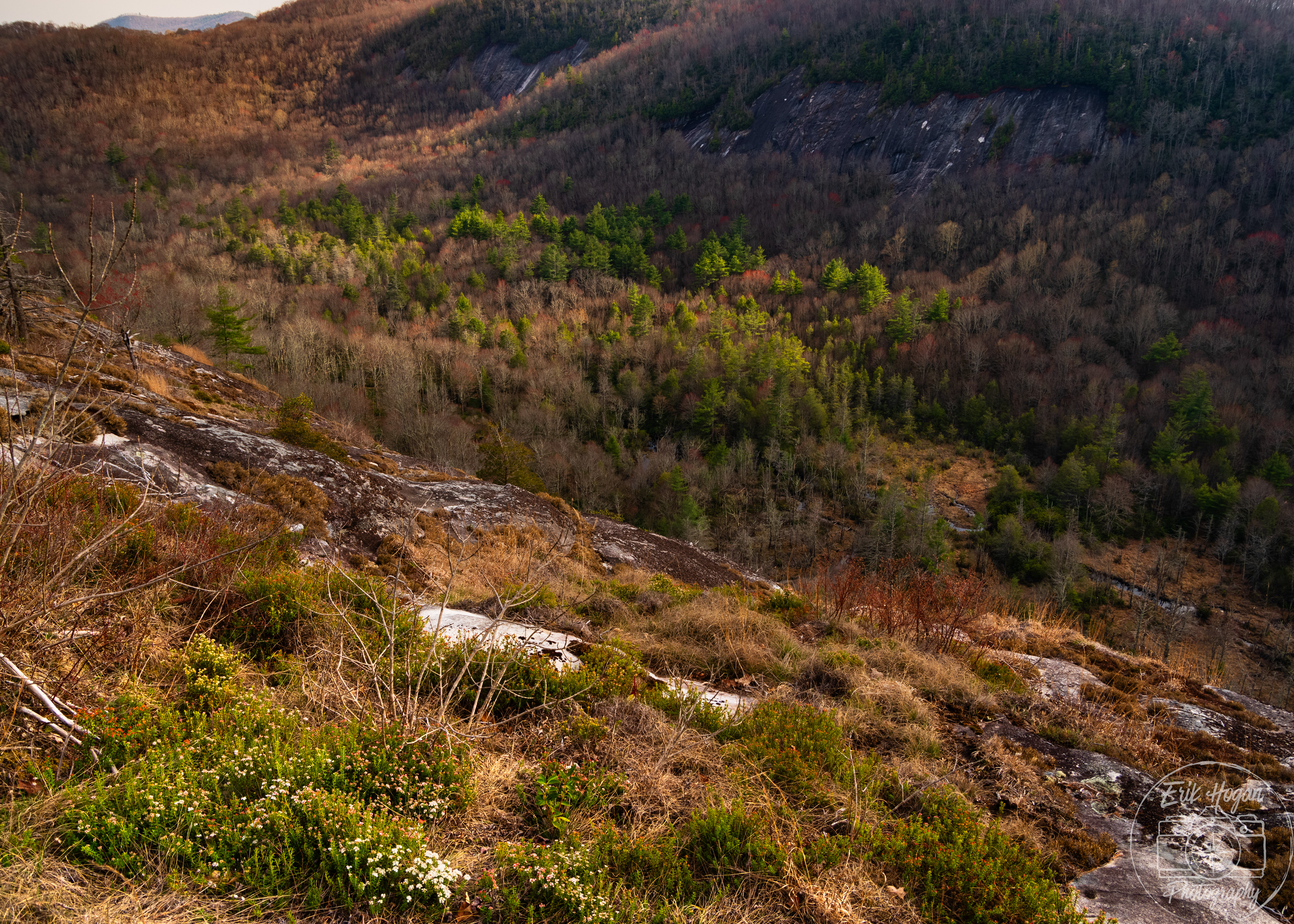 Panthertown Valley April 2024   V